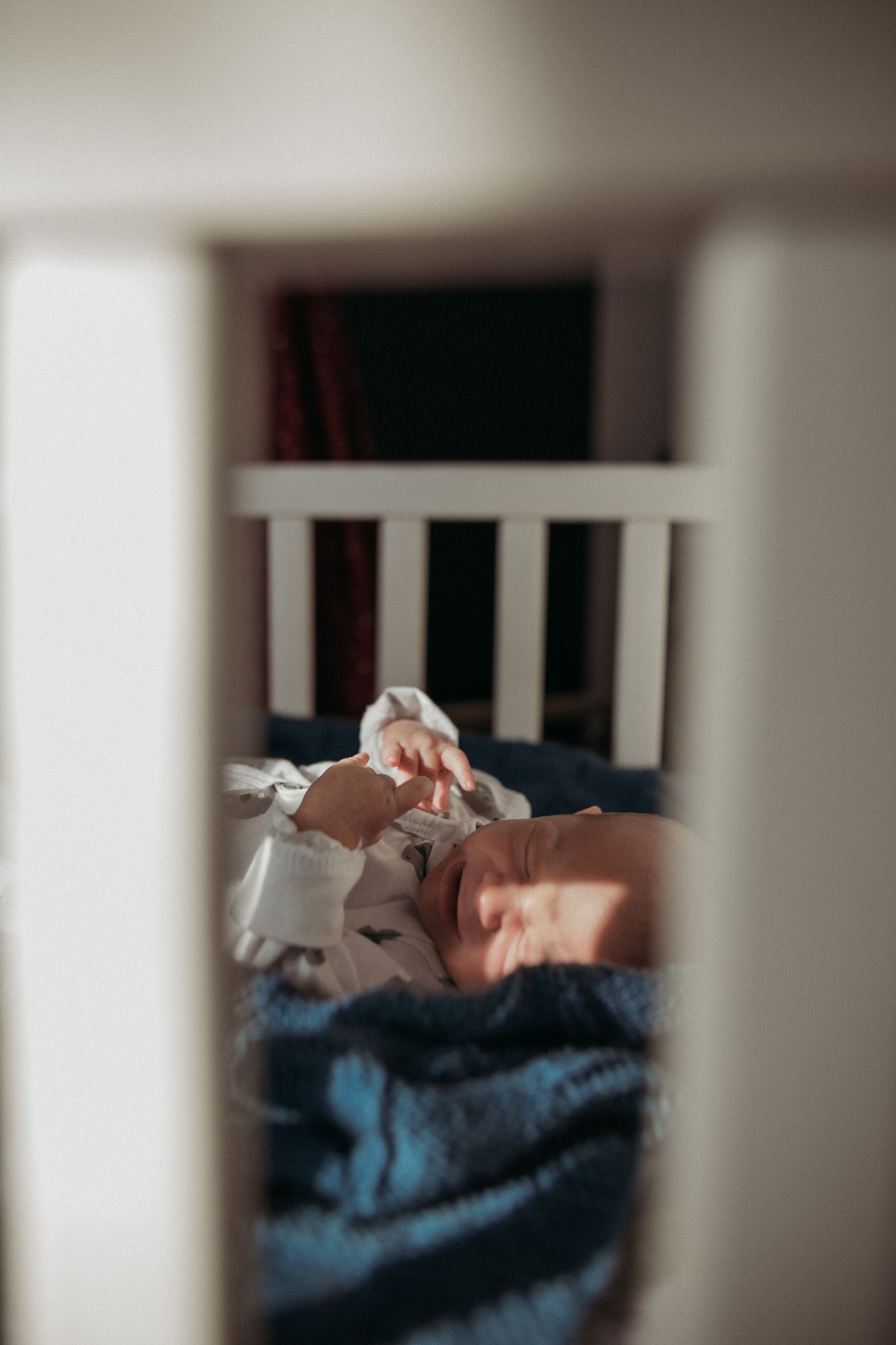 Маша, Леша, Прохор, Платон. Www.ostermiller.ru