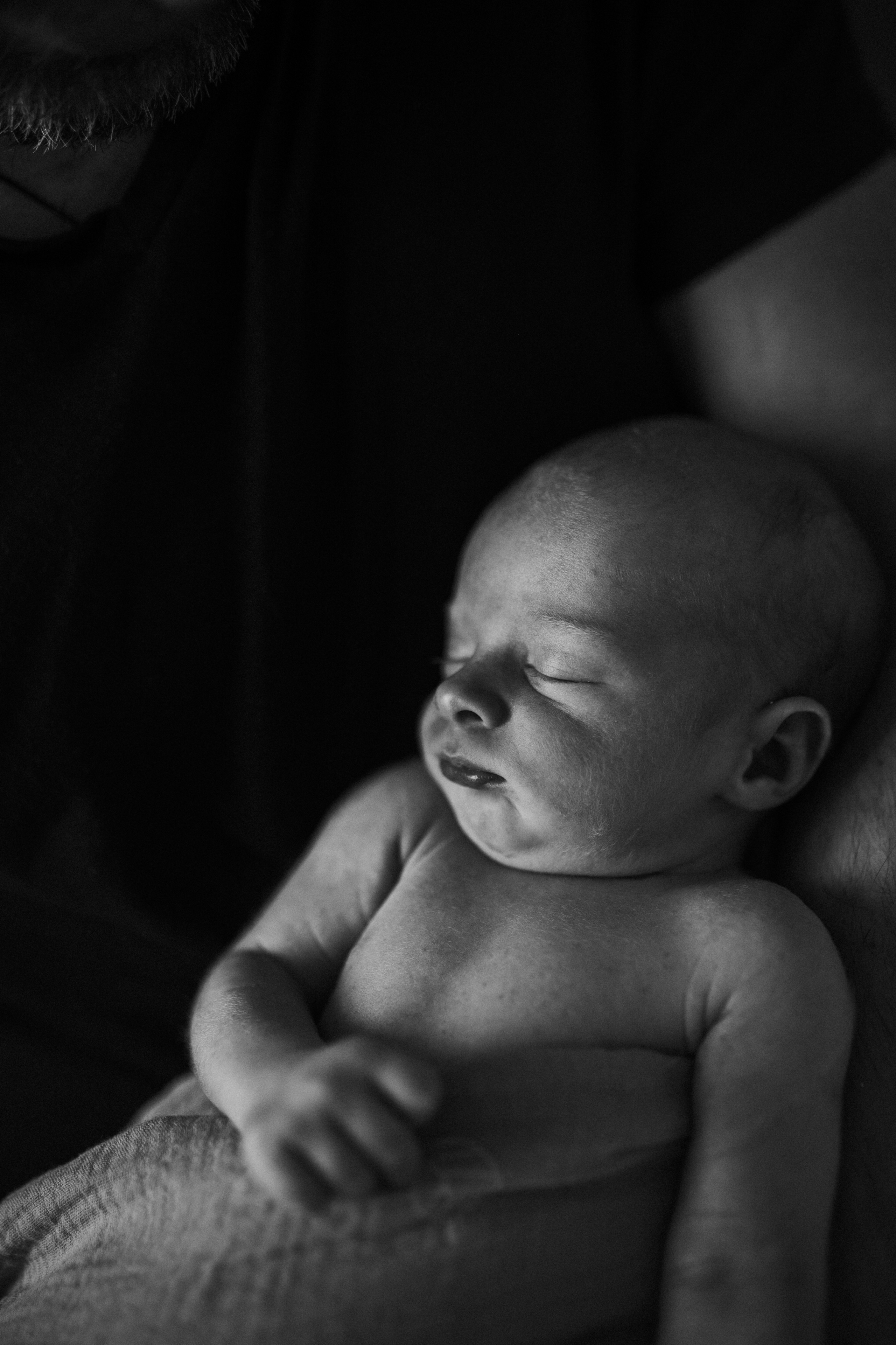 Маша, Леша, Прохор, Платон. Www.ostermiller.ru