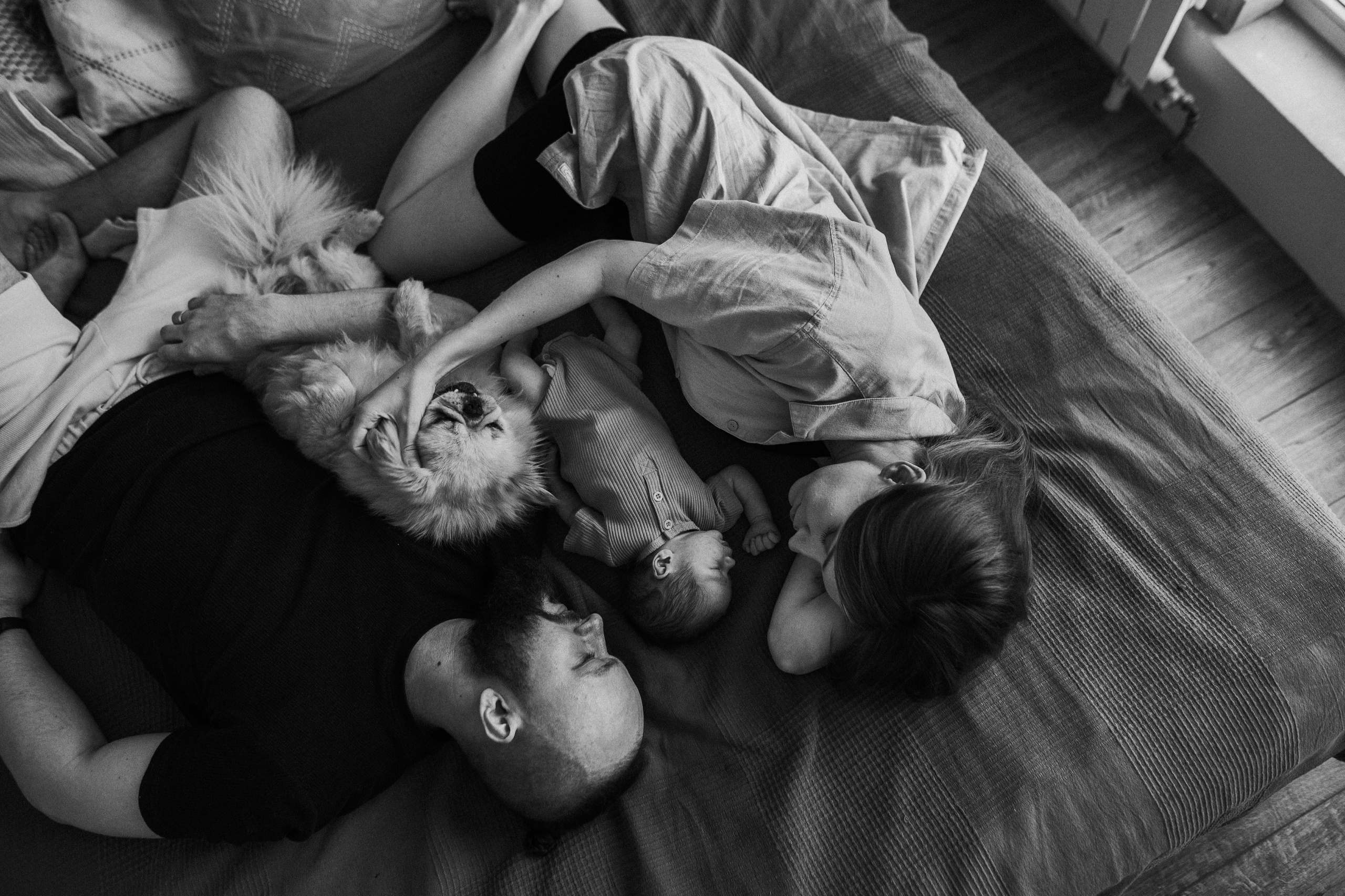 Ирина, Саша, Филипп, Пенни. Www.ostermiller.ru