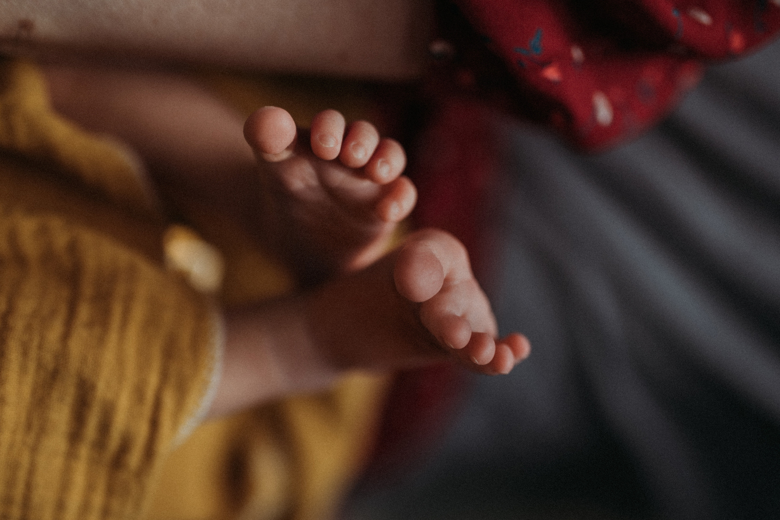 Маша, Леша, Прохор, Платон. Www.ostermiller.ru