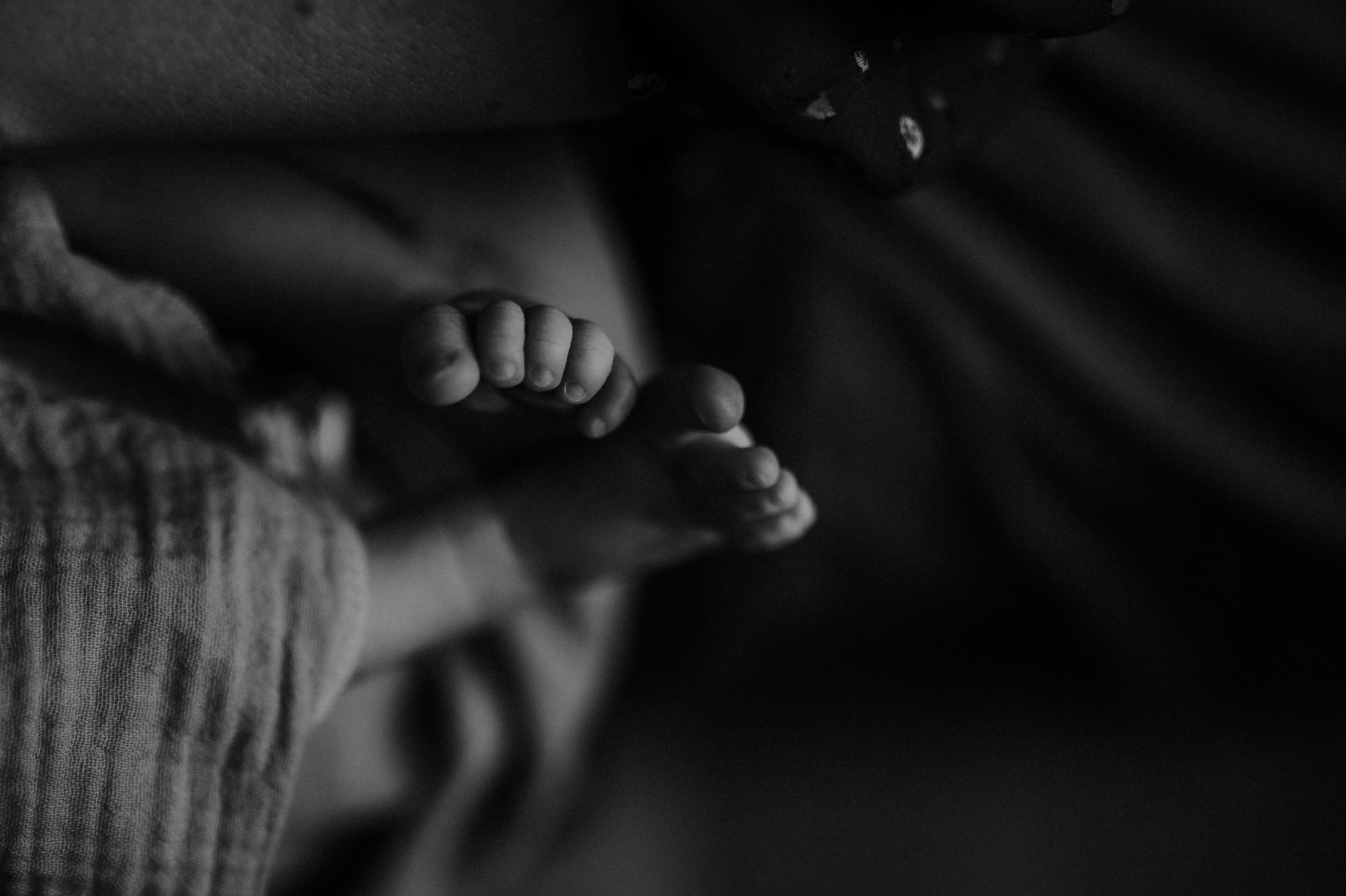 Маша, Леша, Прохор, Платон. Www.ostermiller.ru