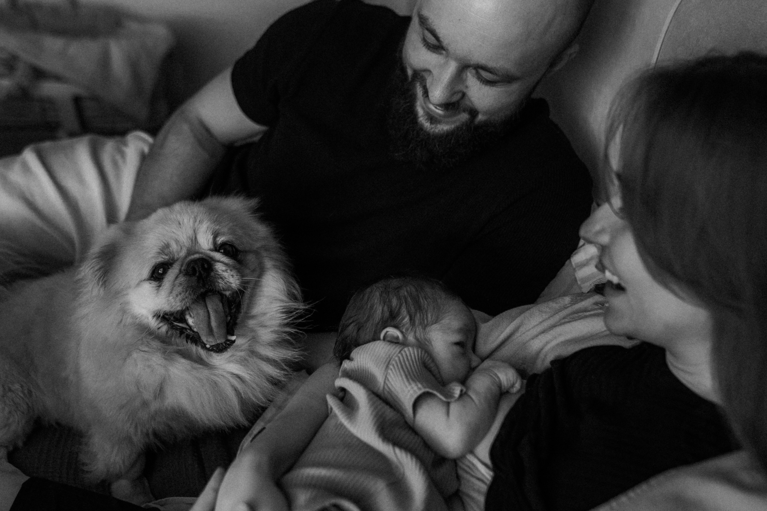 Ирина, Саша, Филипп, Пенни. Www.ostermiller.ru