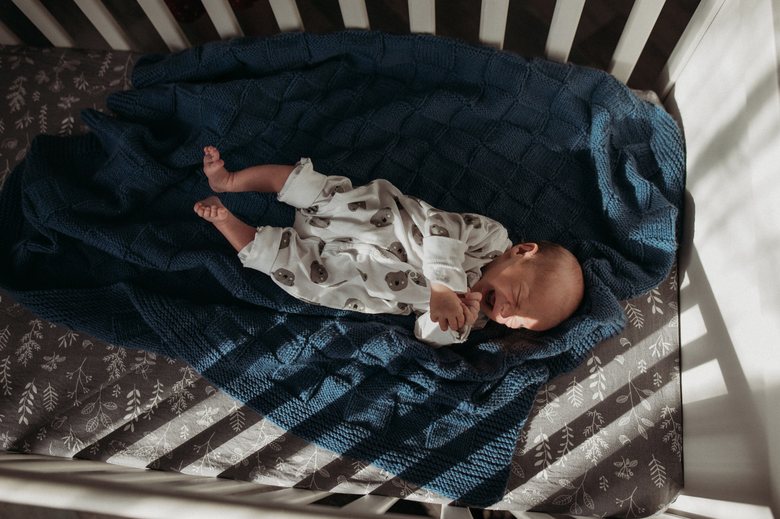 Маша, Леша, Прохор, Платон. Www.ostermiller.ru