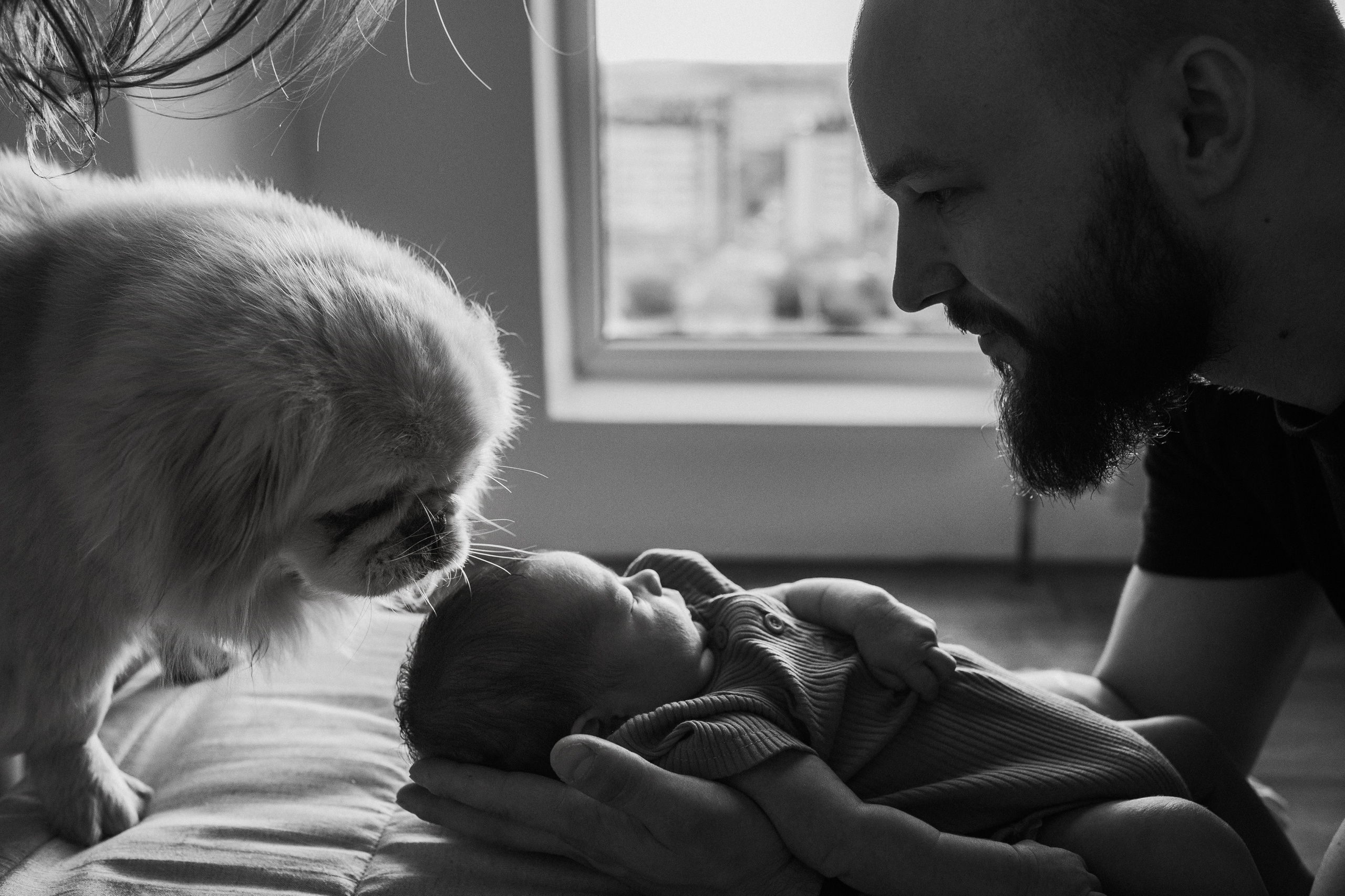 Ирина, Саша, Филипп, Пенни. Www.ostermiller.ru