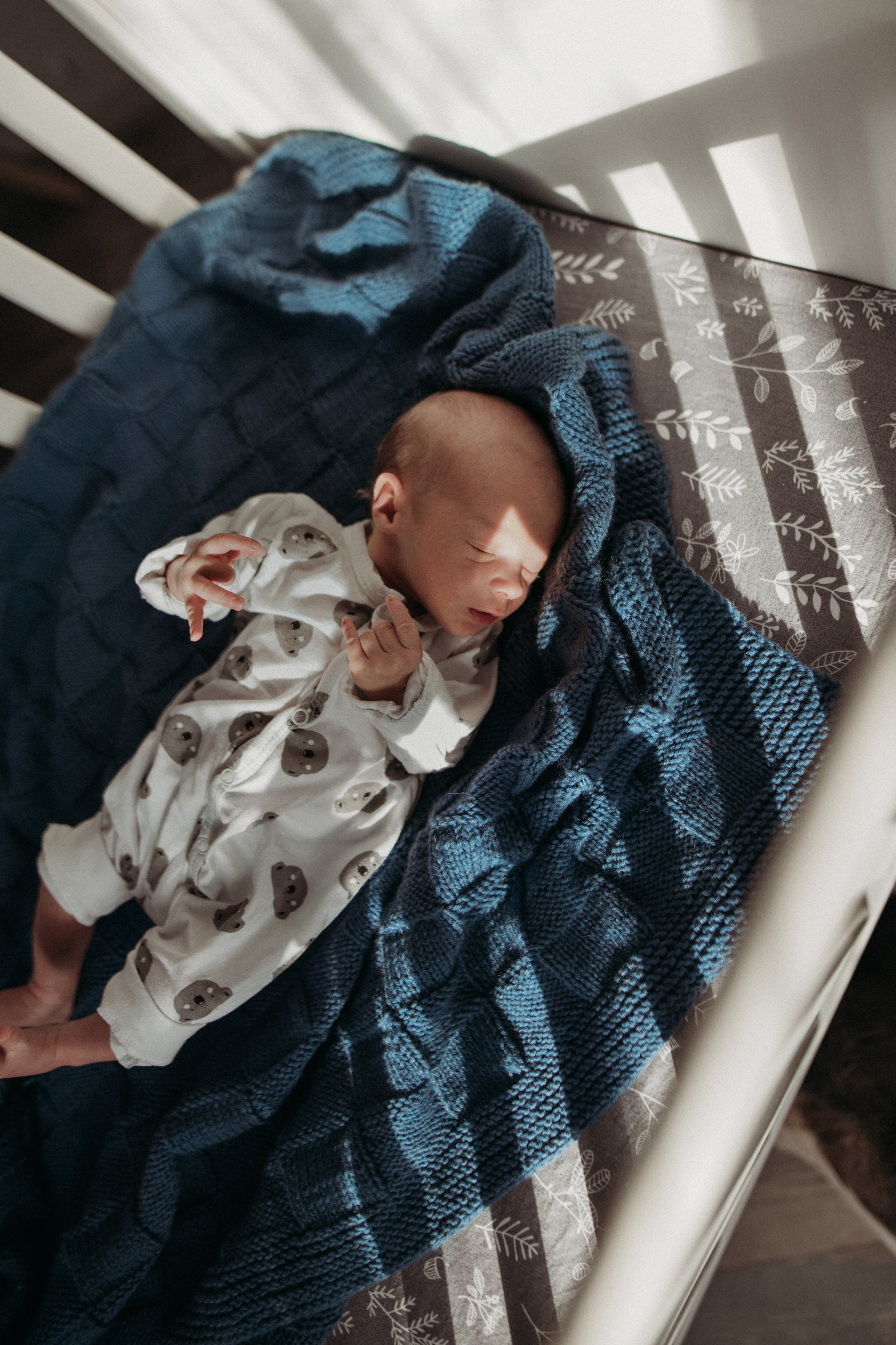 Маша, Леша, Прохор, Платон. Www.ostermiller.ru