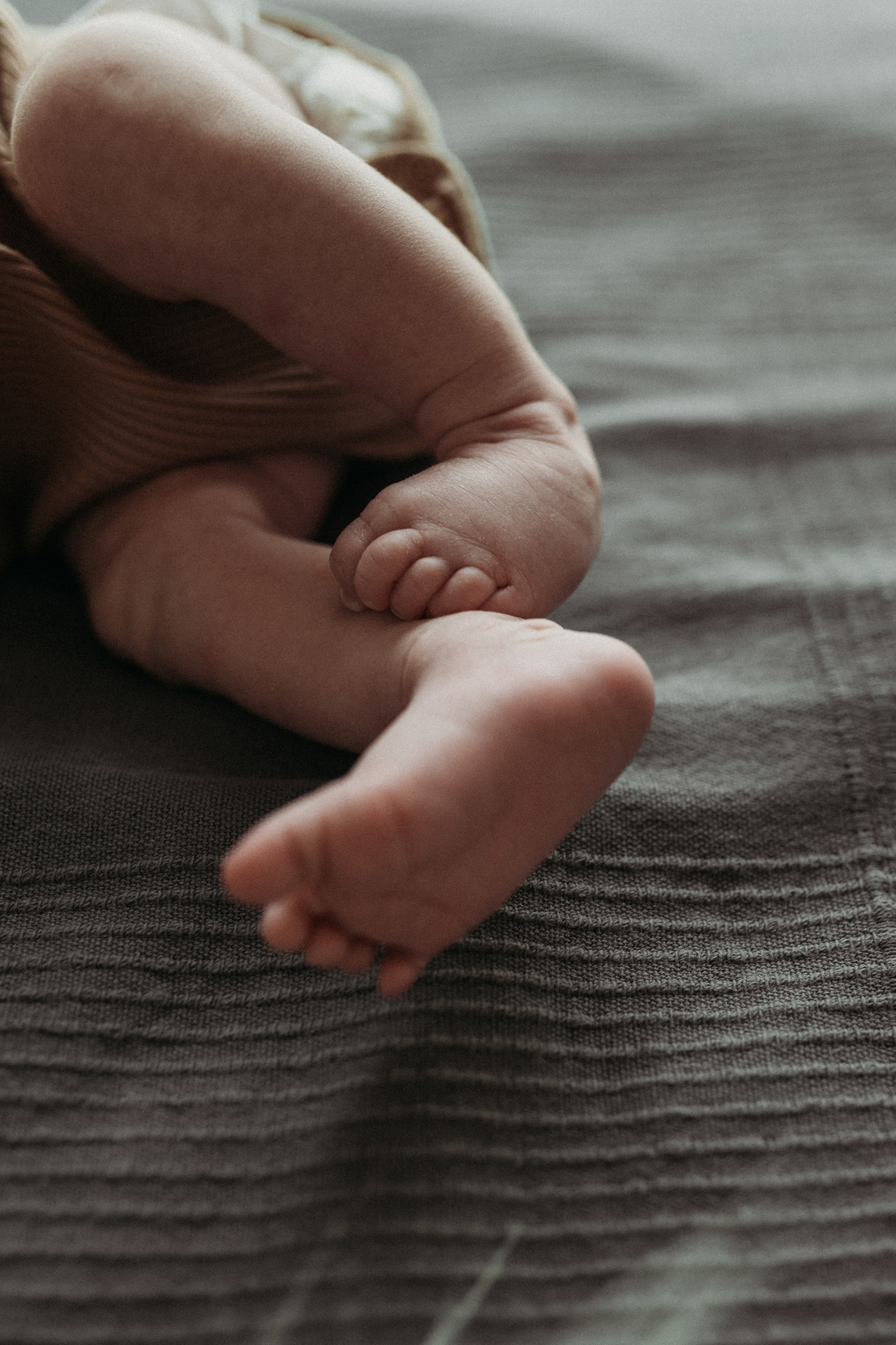 Ирина, Саша, Филипп, Пенни. Www.ostermiller.ru