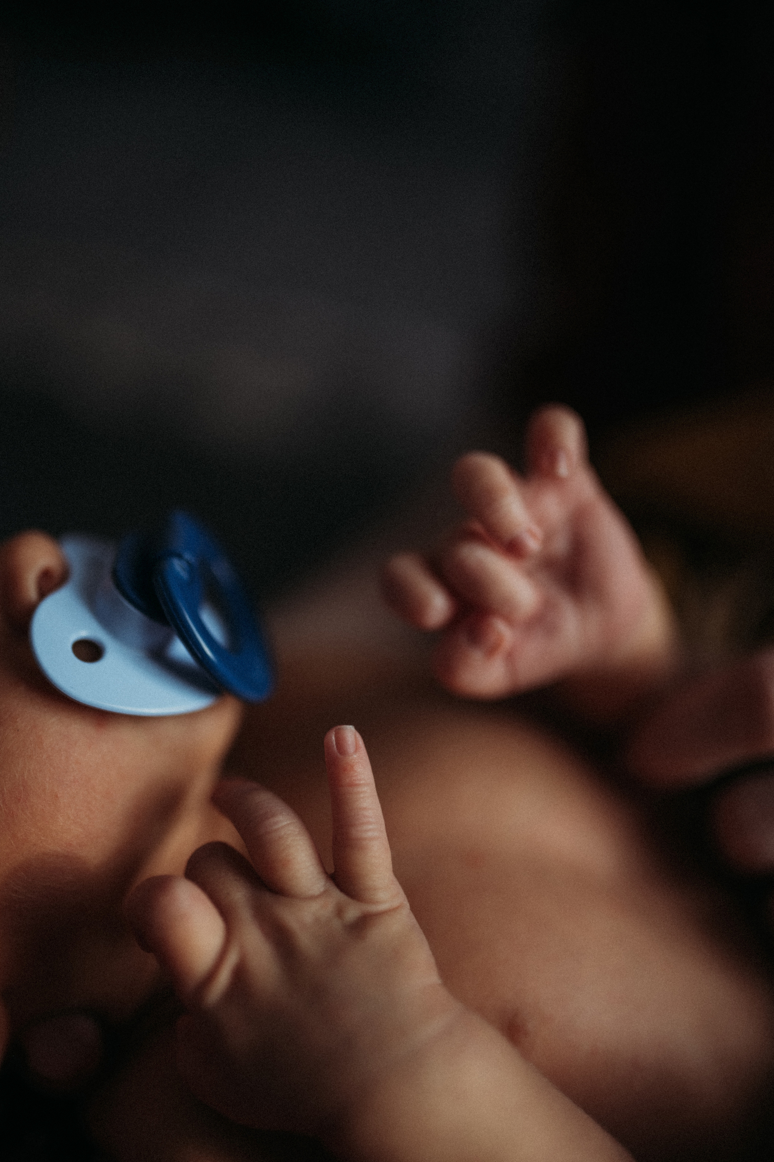 Маша, Леша, Прохор, Платон. Www.ostermiller.ru