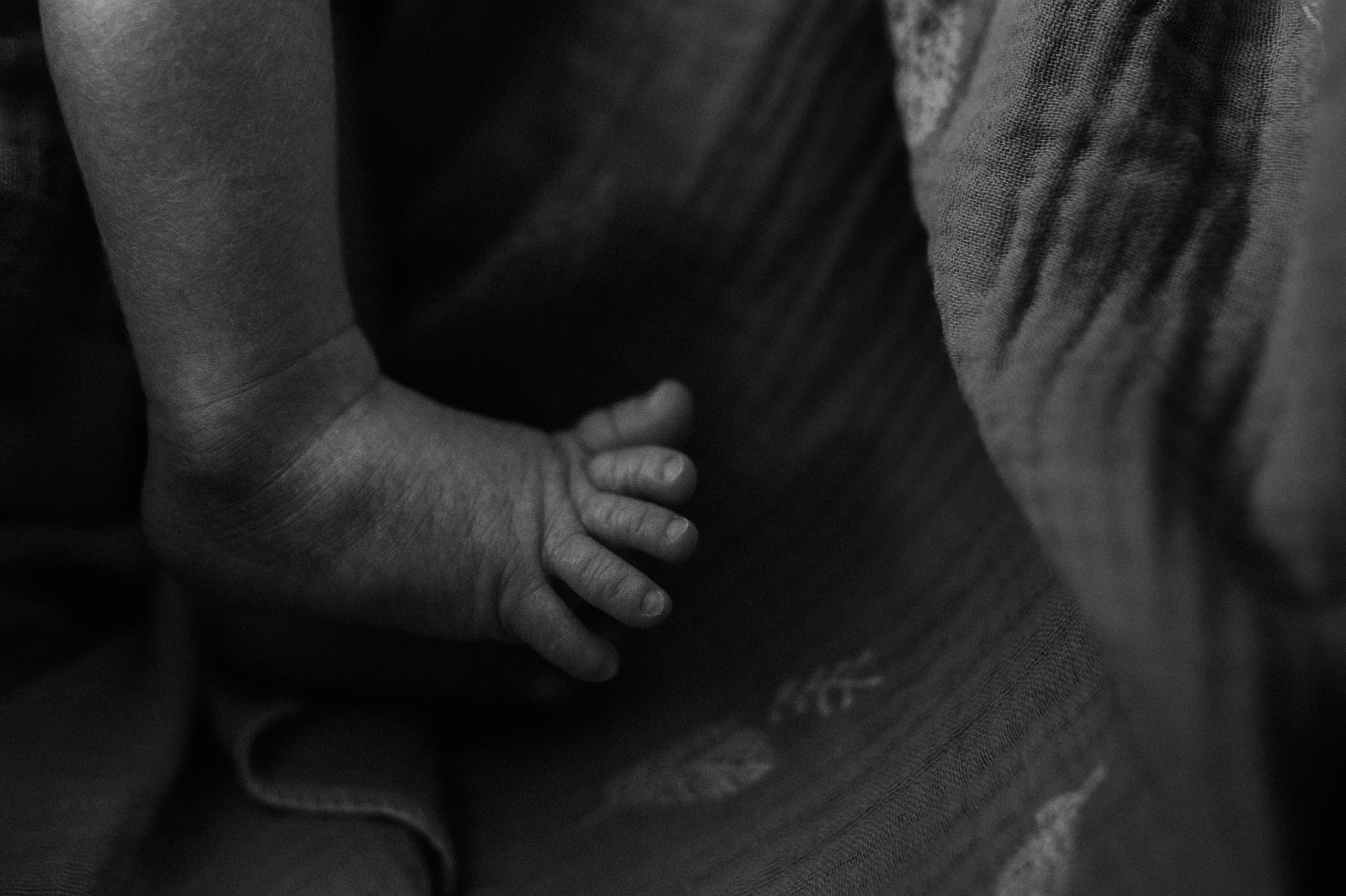 Маша, Леша, Прохор, Платон. Www.ostermiller.ru