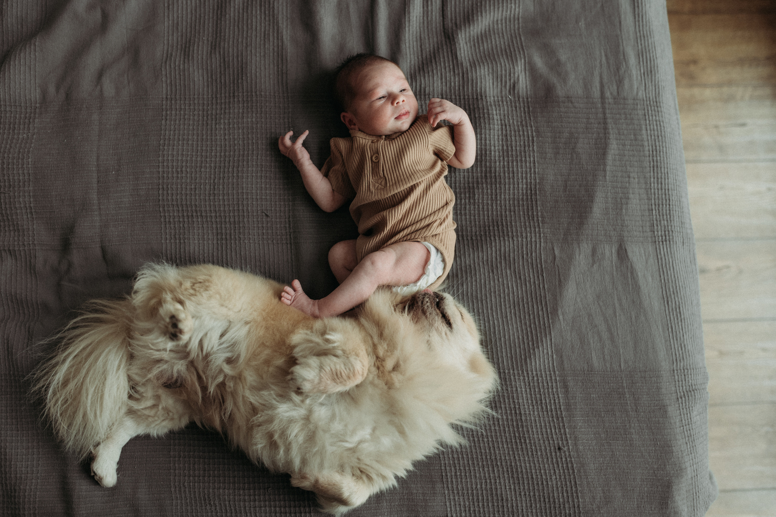 Ирина, Саша, Филипп, Пенни. Www.ostermiller.ru