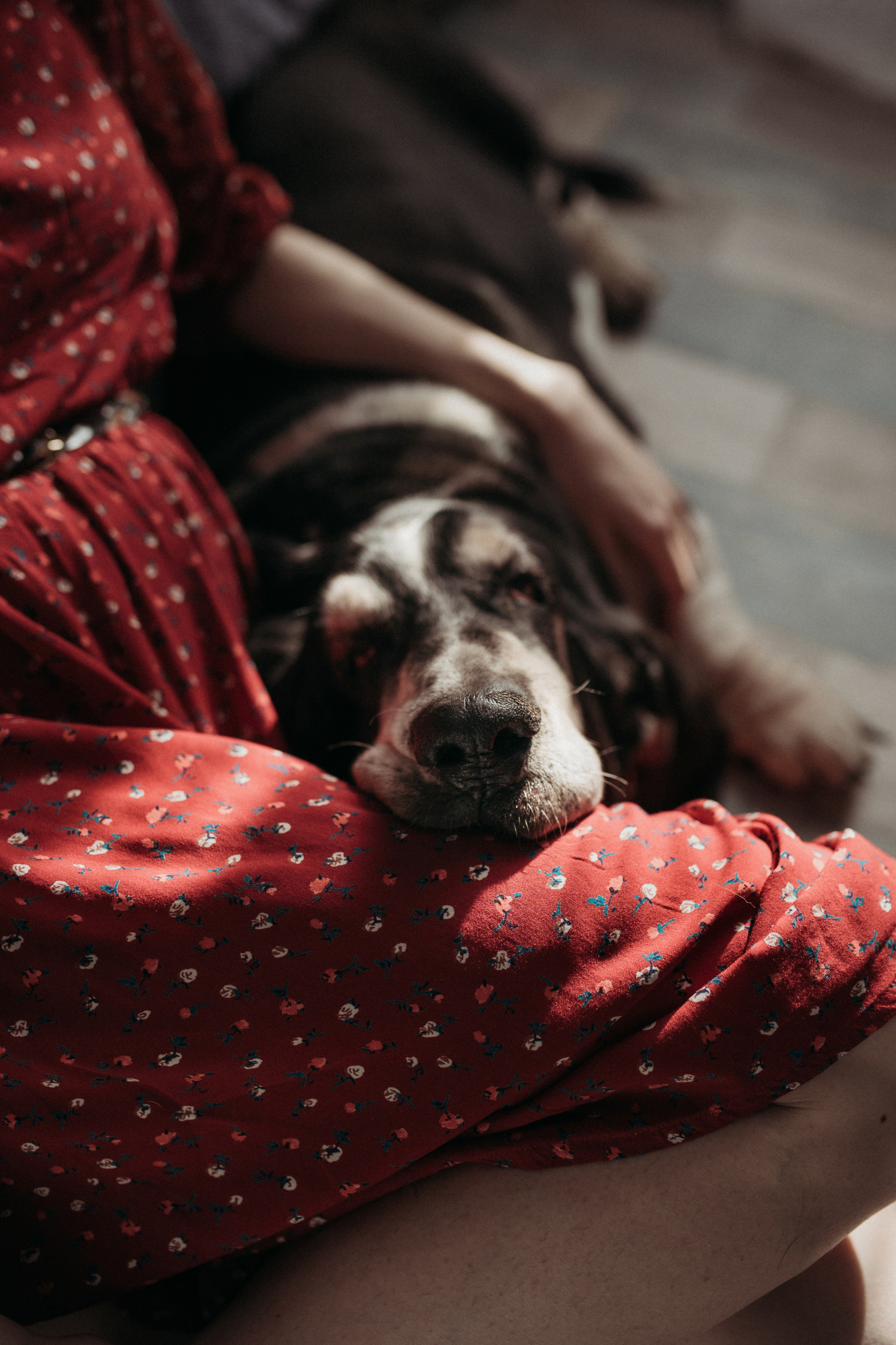 Маша, Леша, Прохор, Платон. Www.ostermiller.ru