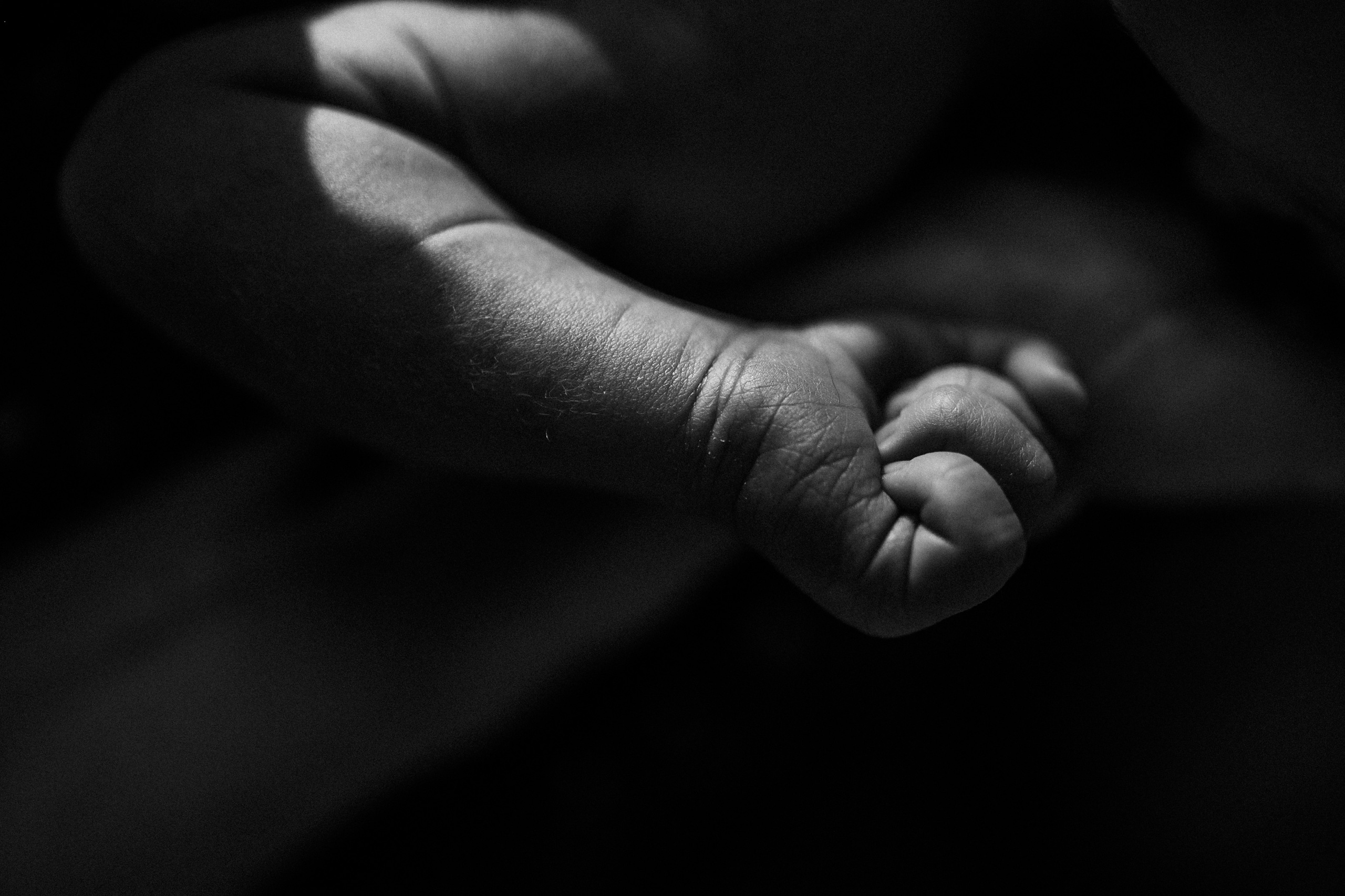 Маша, Леша, Прохор, Платон. Www.ostermiller.ru