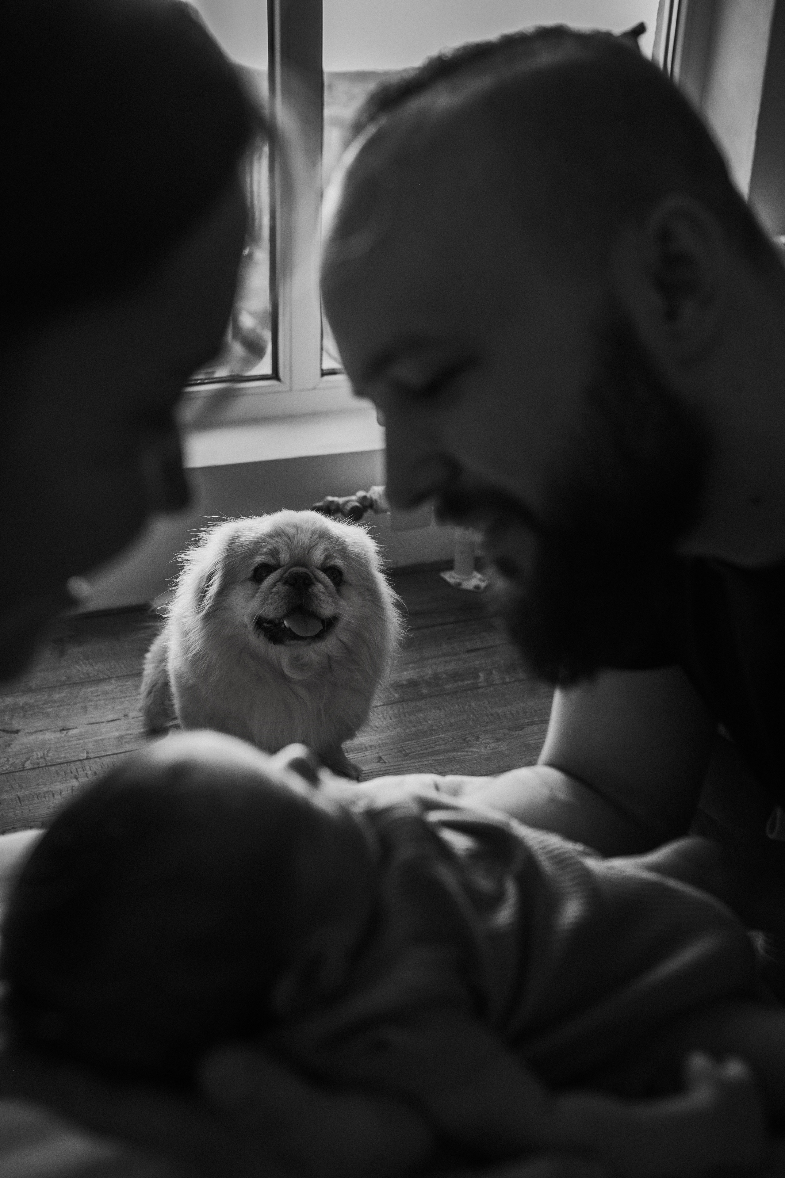 Ирина, Саша, Филипп, Пенни. Www.ostermiller.ru