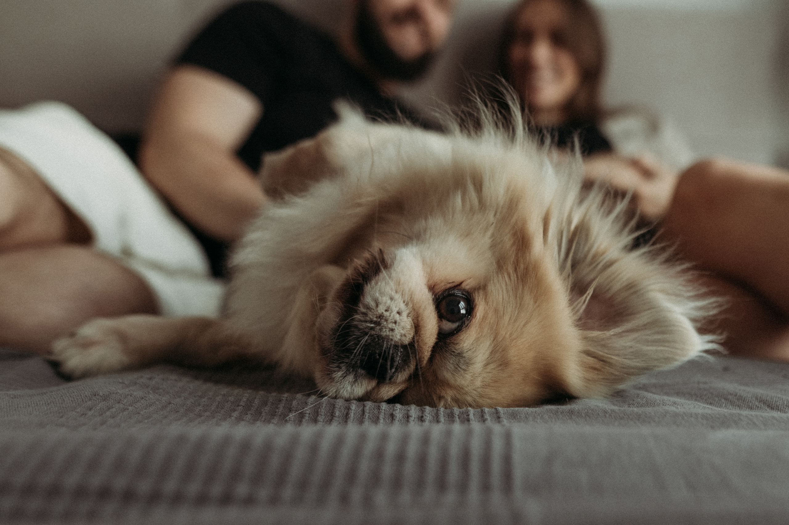 Ирина, Саша, Филипп, Пенни. Www.ostermiller.ru