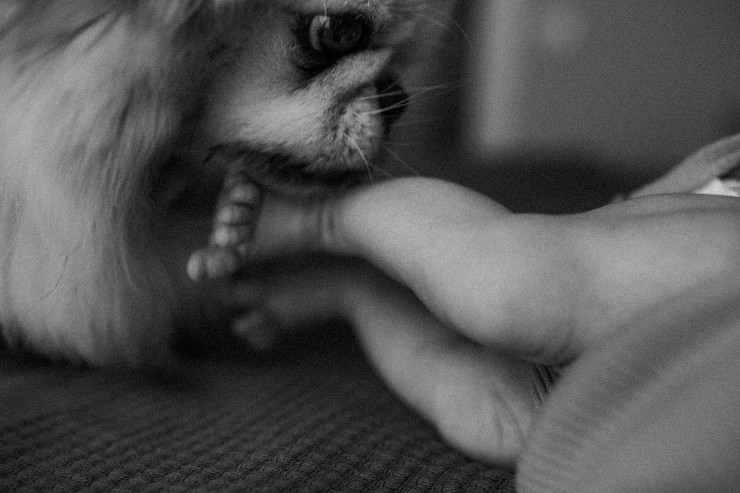 Ирина, Саша, Филипп, Пенни. Www.ostermiller.ru