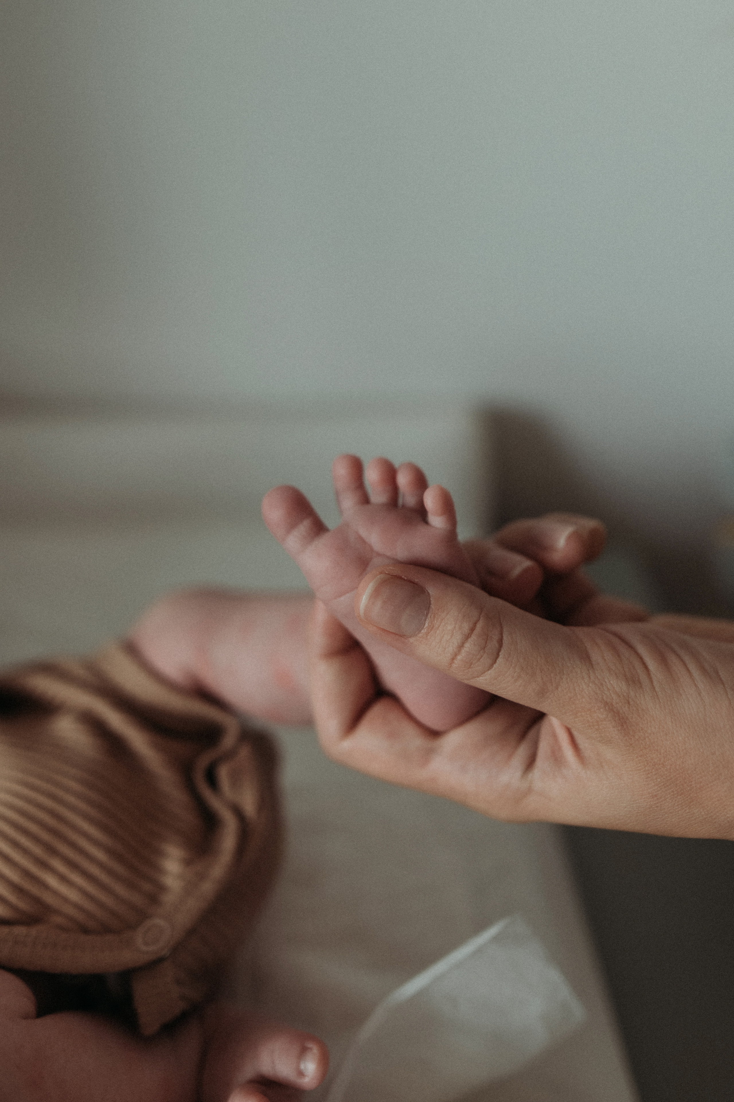 Ирина, Саша, Филипп, Пенни. Www.ostermiller.ru