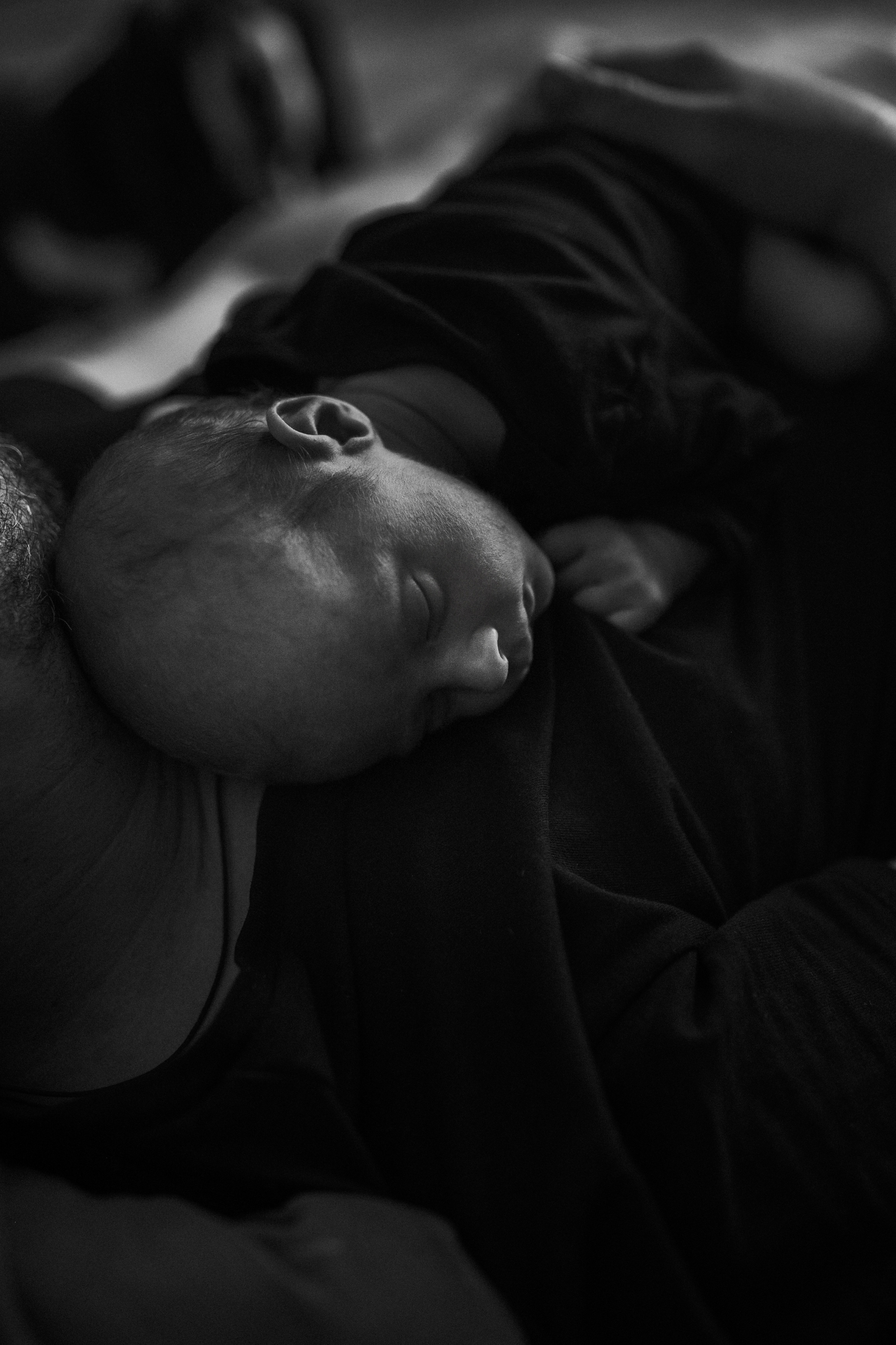 Маша, Леша, Прохор, Платон. Www.ostermiller.ru