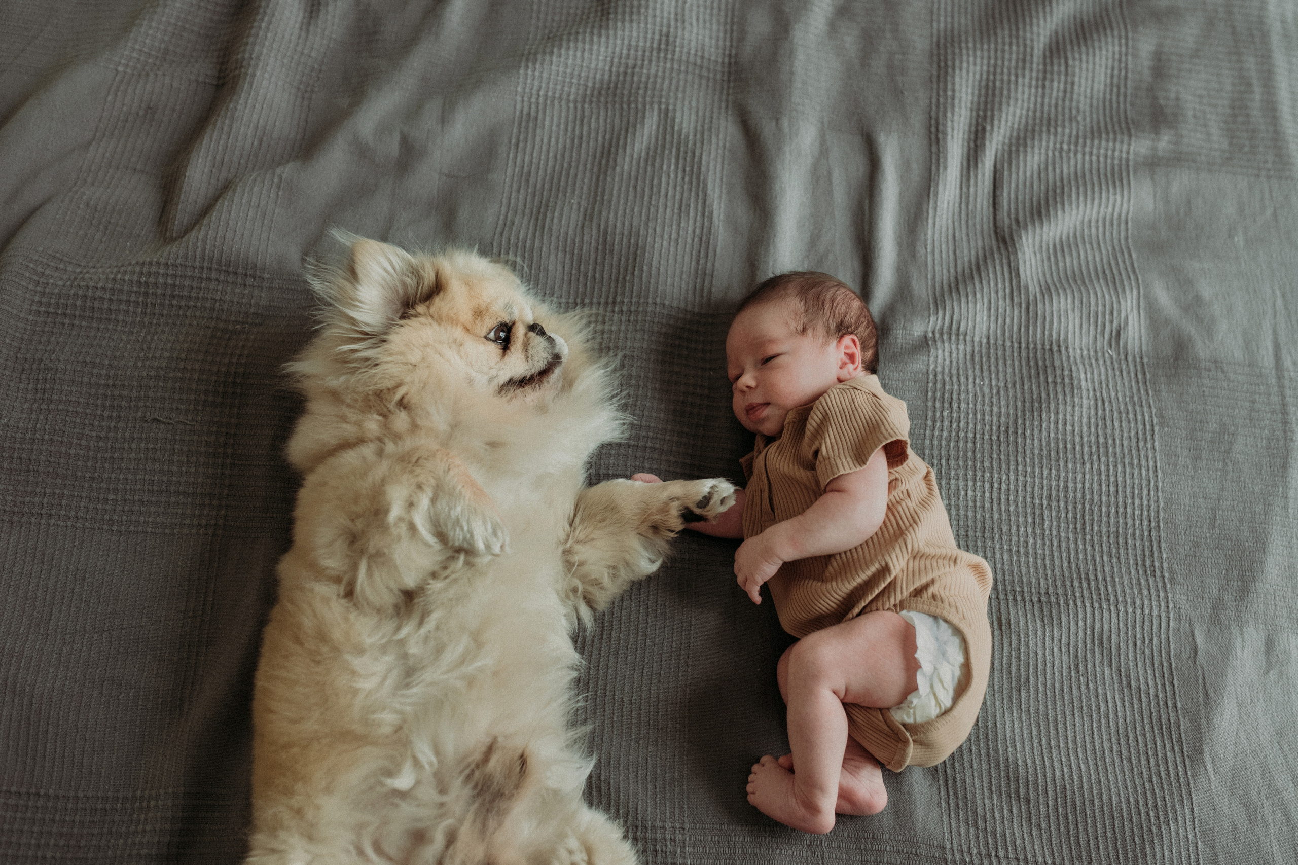 Ирина, Саша, Филипп, Пенни. Www.ostermiller.ru