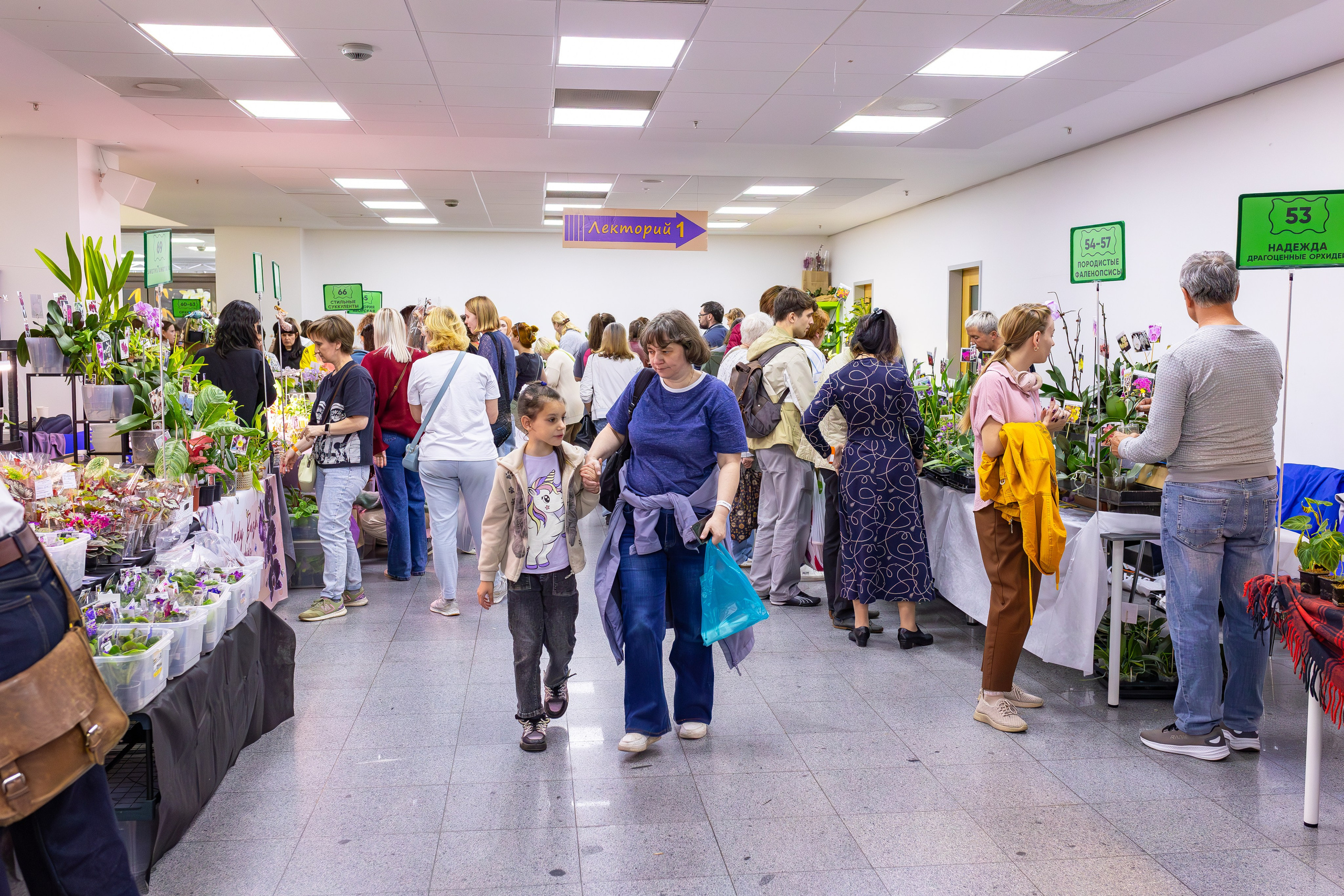 Орхидиум сентябрь 2025. Александра Куликова фотограф, Москва