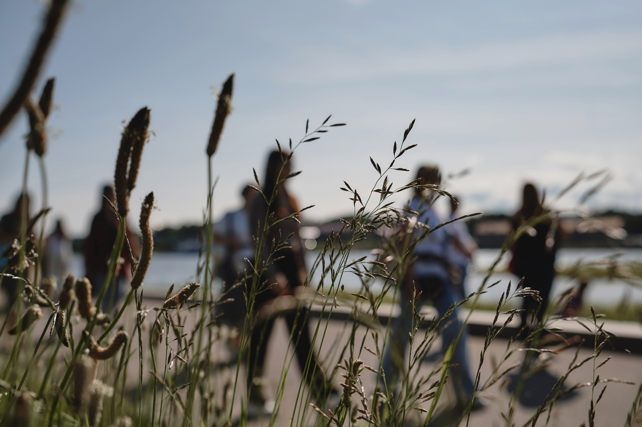 Слушай колокол. Ваш мультижанровый фотограф Александр Белов