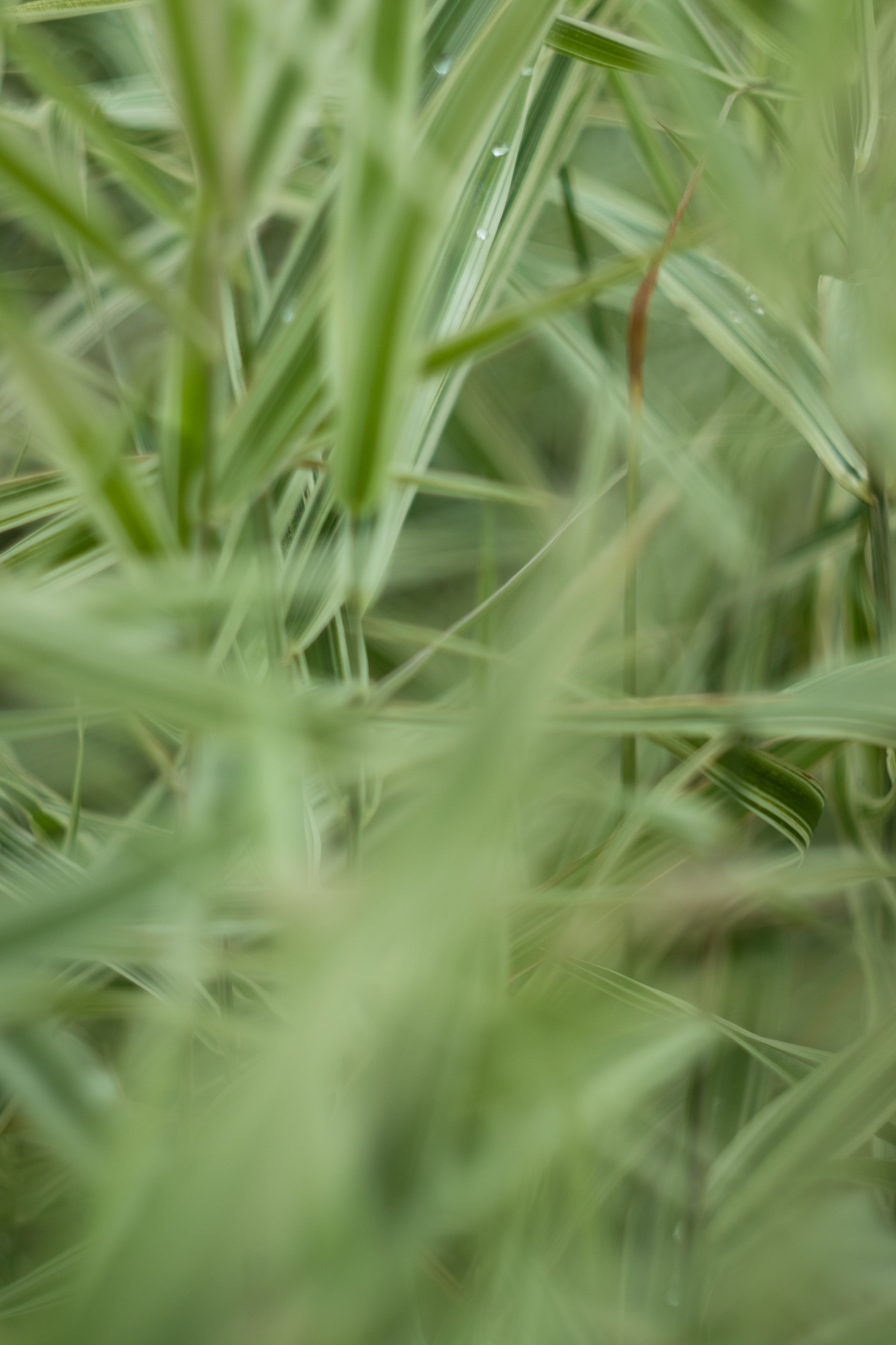 Моменты. Главная