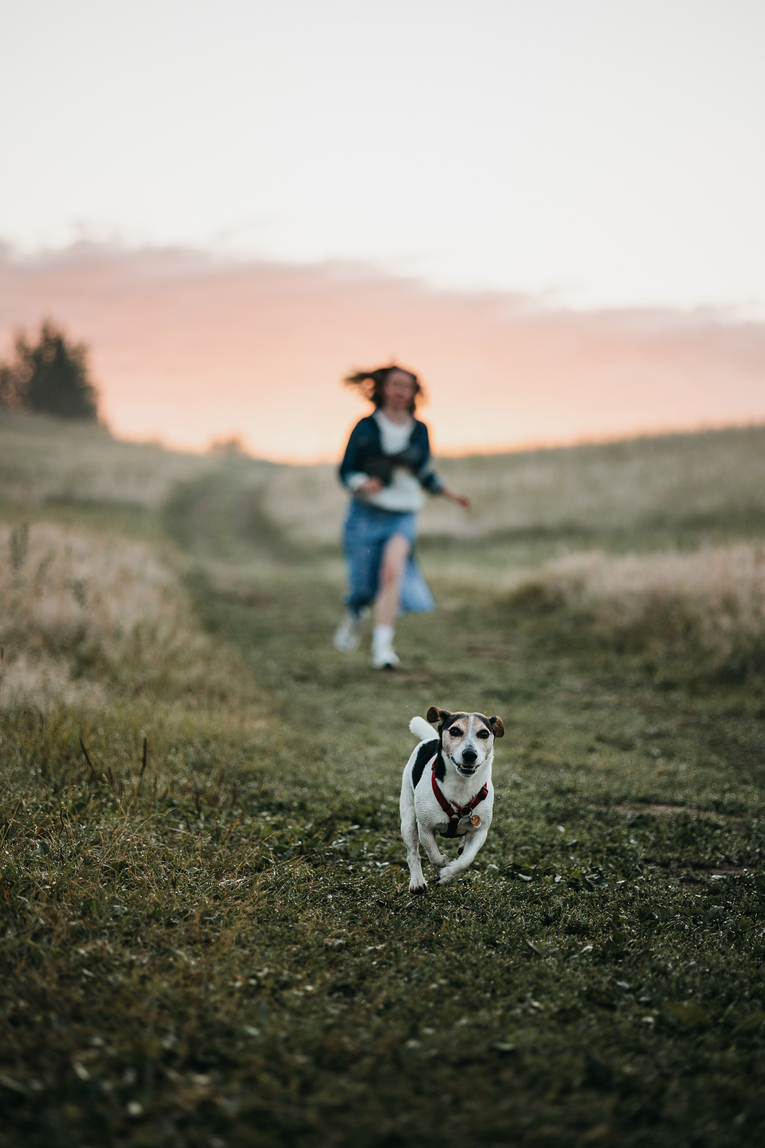 Маша и Персик. Фотограф — Анималист | Санкт-Петербург