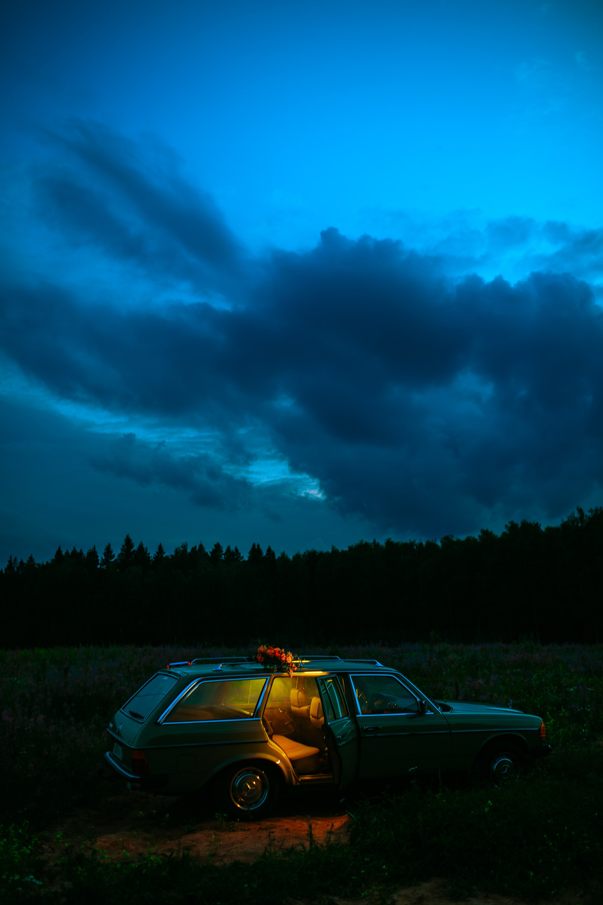 Поля. Фотограф Оля Батист