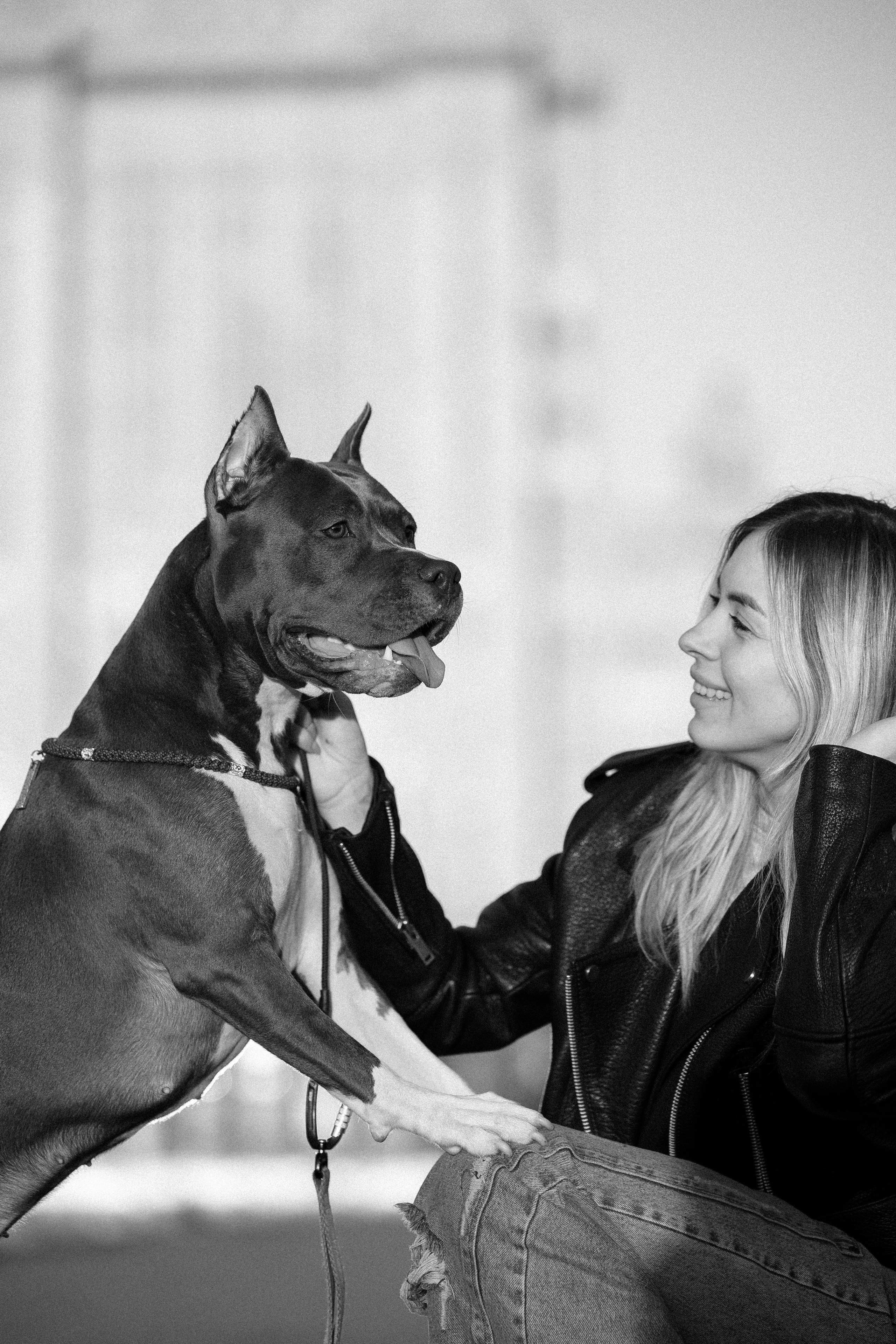 Катя, Леша, Лея и Трой. Фотограф и видеограф анималист Аганина Дарья