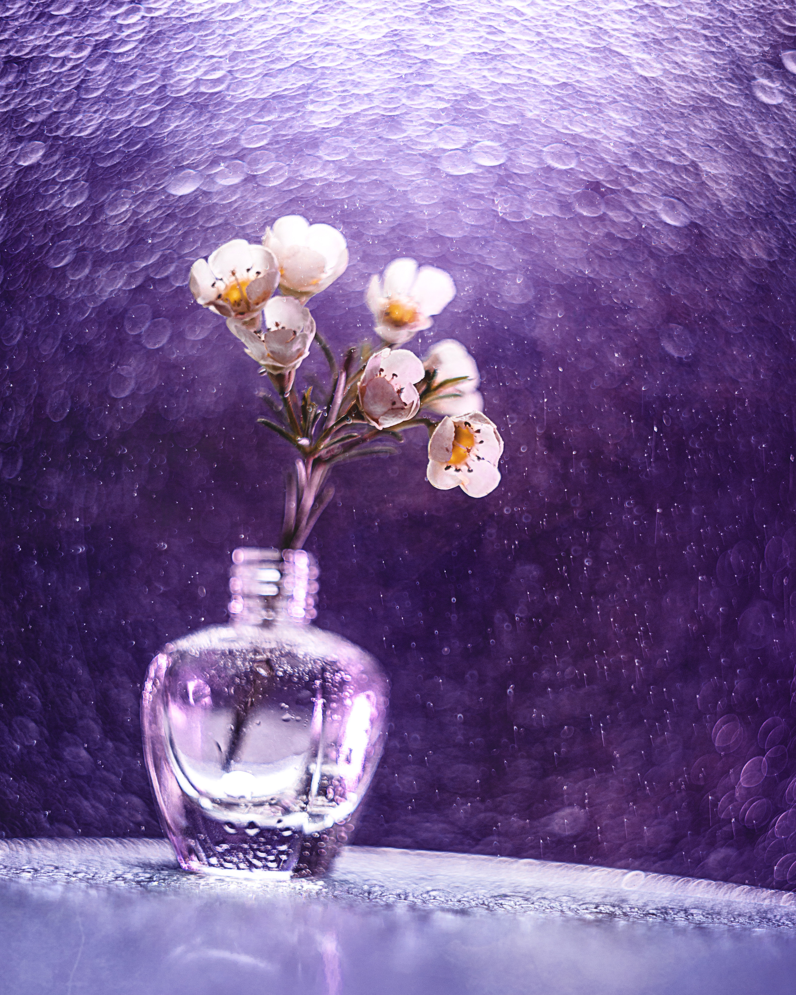 Предметная съёмка. Фотограф в Самаре Иван Сеножатский