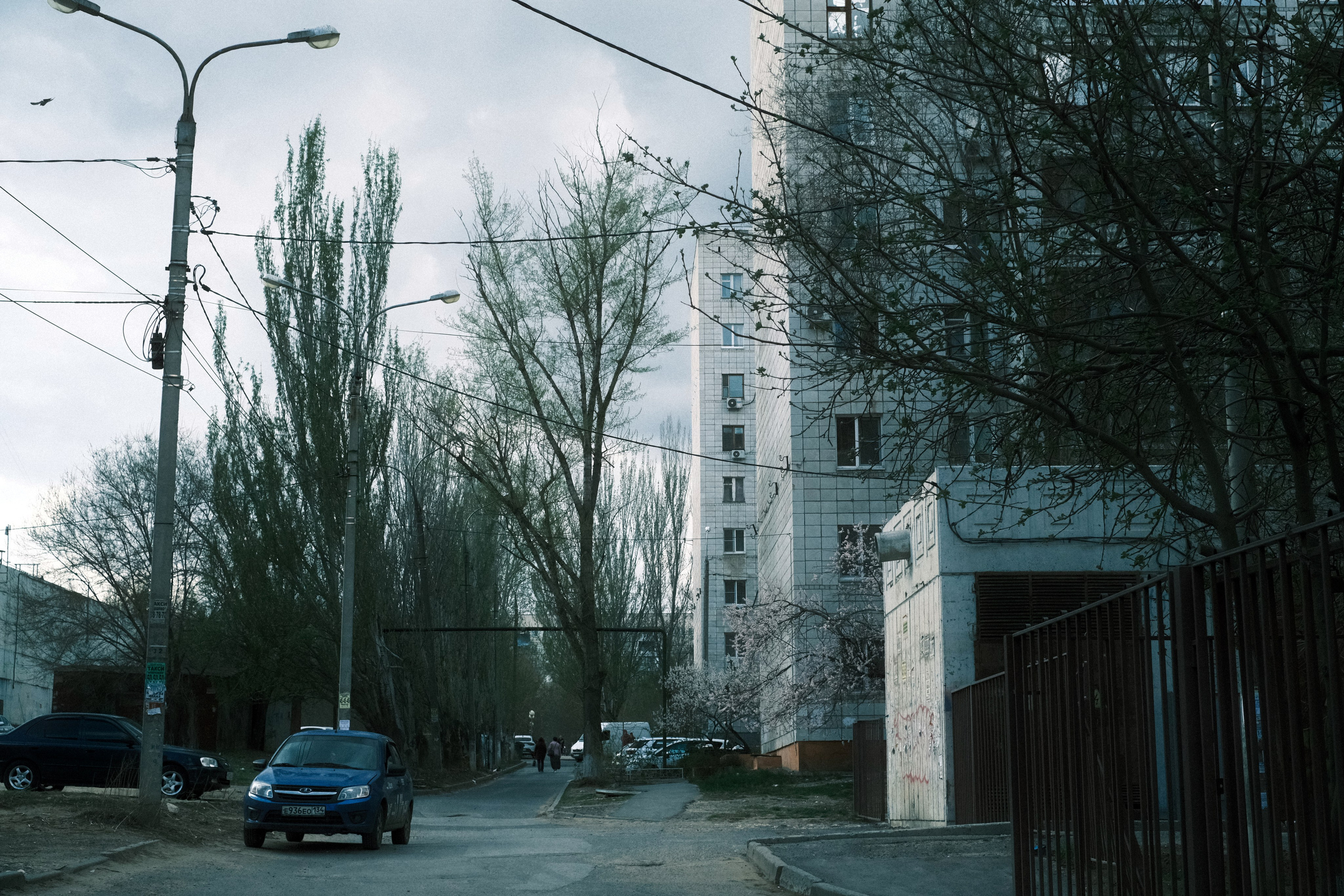 2022. Евгений Холодок