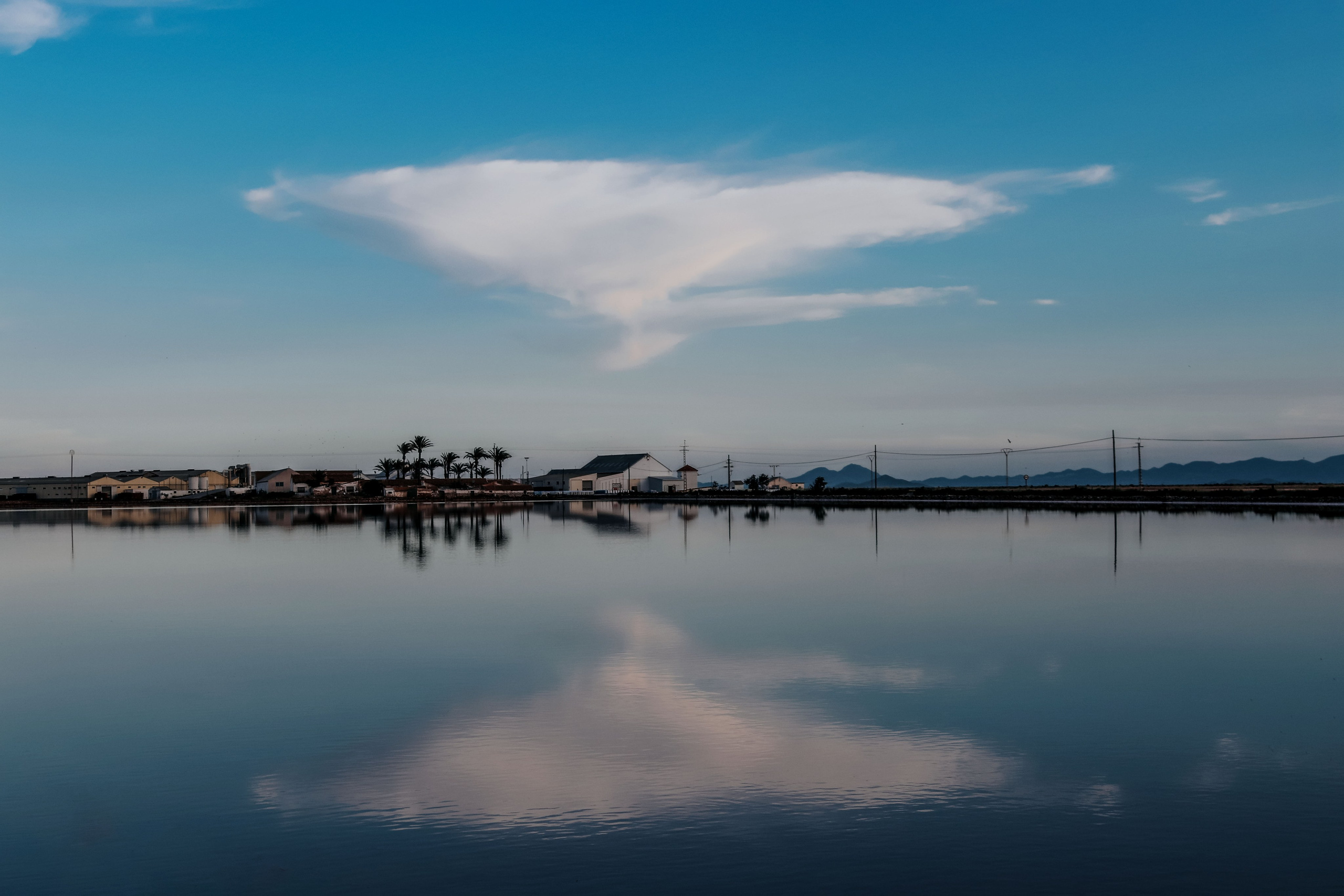 Калининград «ОЧЕРТАНИЕ РЕАЛЬНОСТИ». ARTEXPOPHOTO