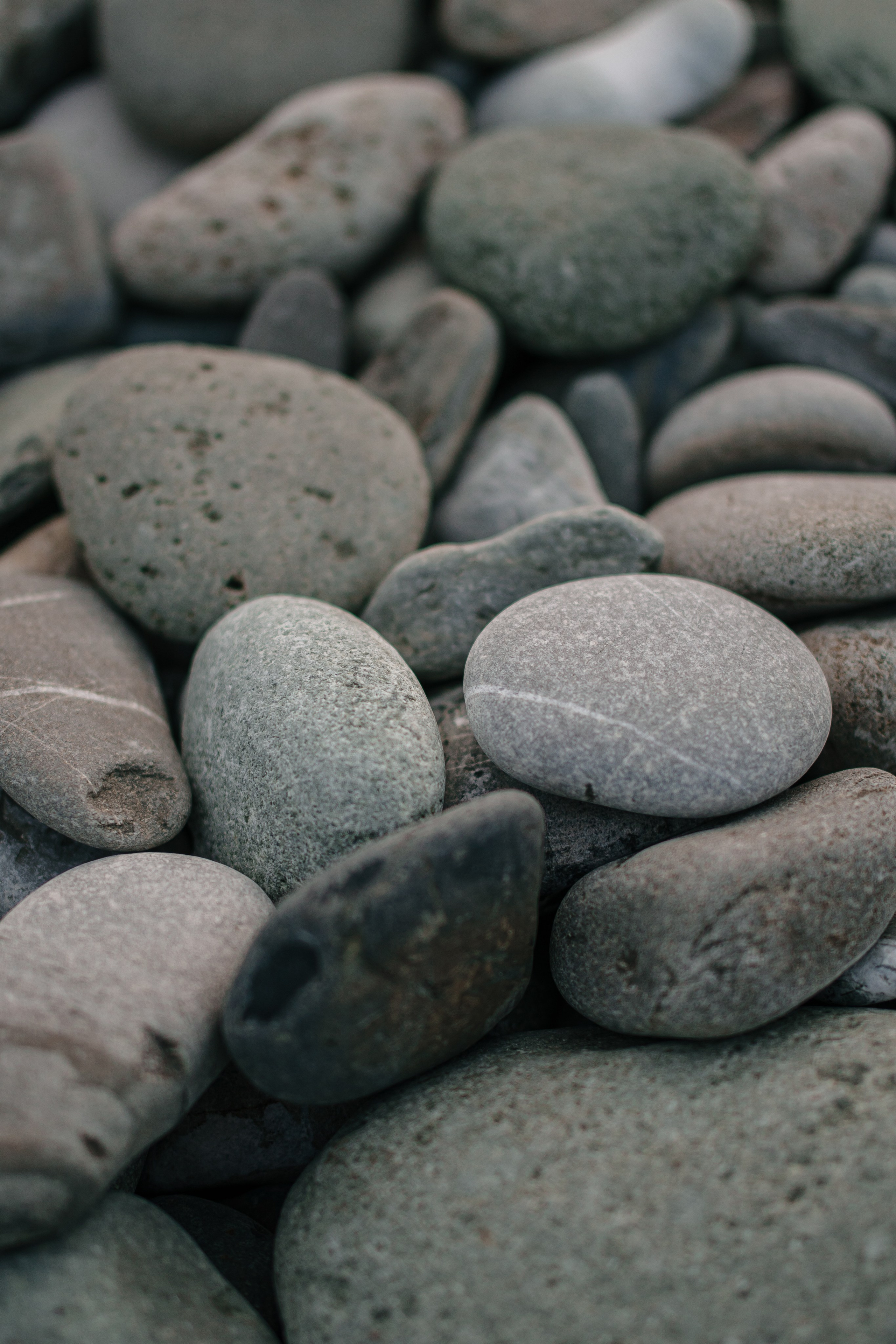 Reportage. Фотограф / видеограф в Москве и Сочи Sofia Riversong