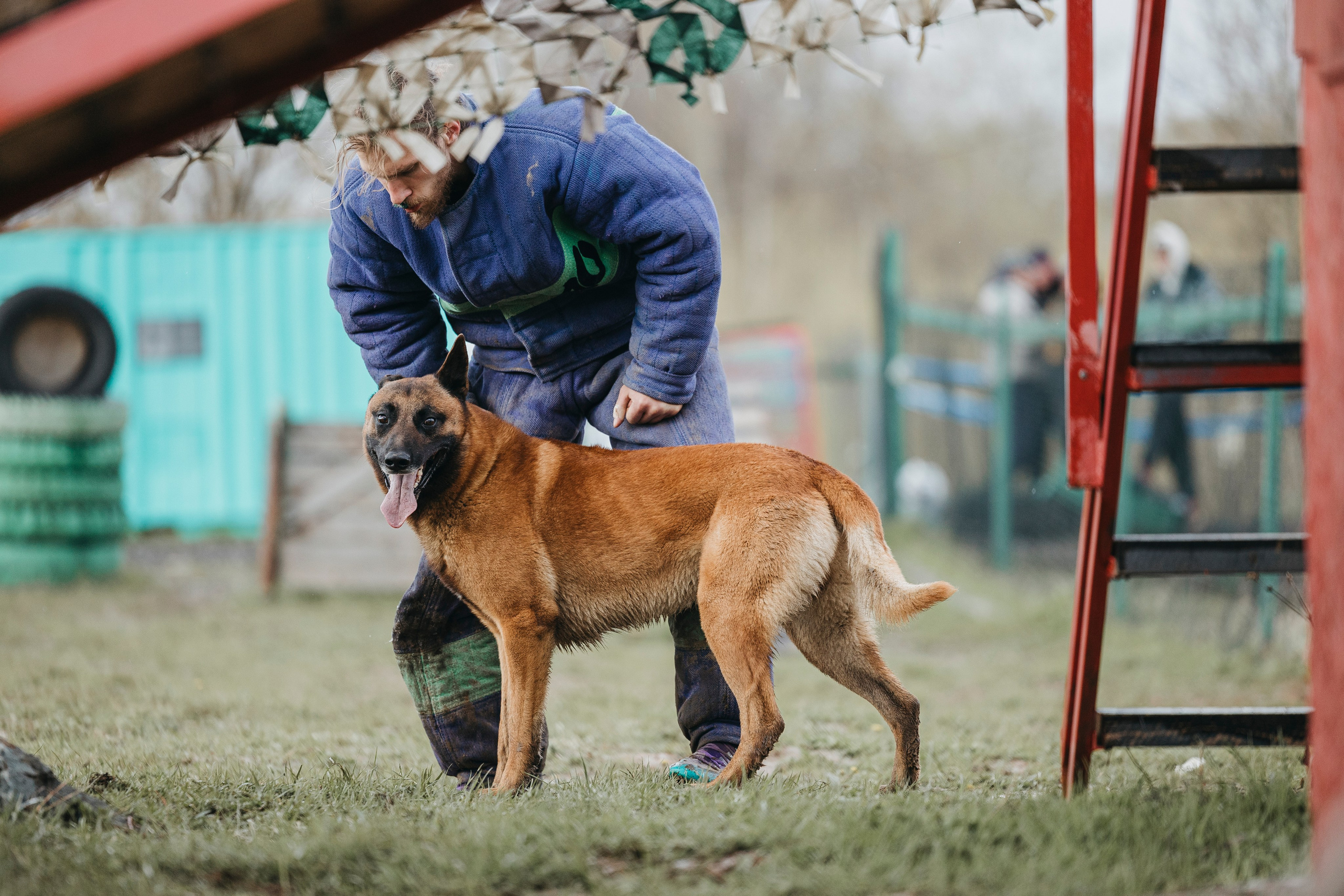09.05.25 Вологда соревнования. Фотограф-анималист Анна Маринич