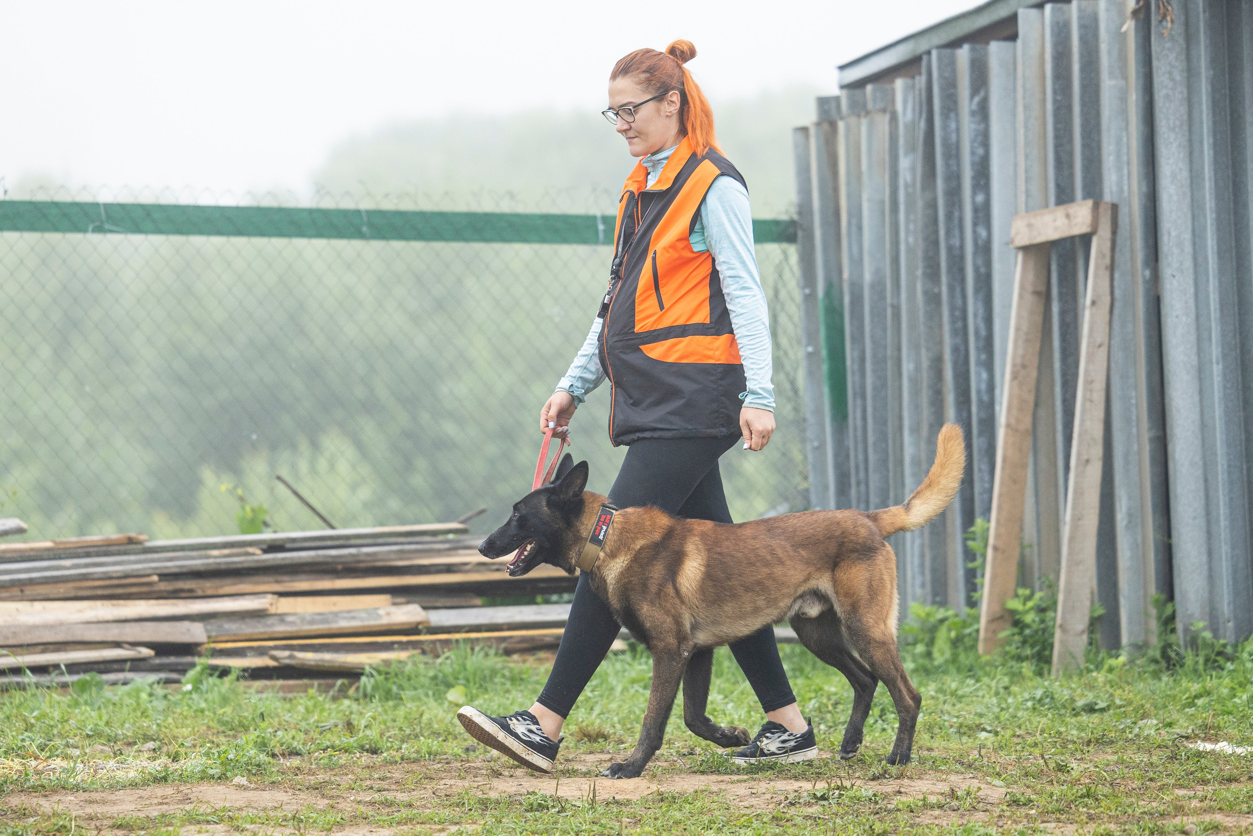 Соревнования по Мондьорингу г. Вологда 10-11.08.2024. Фотограф-анималист Анна Маринич