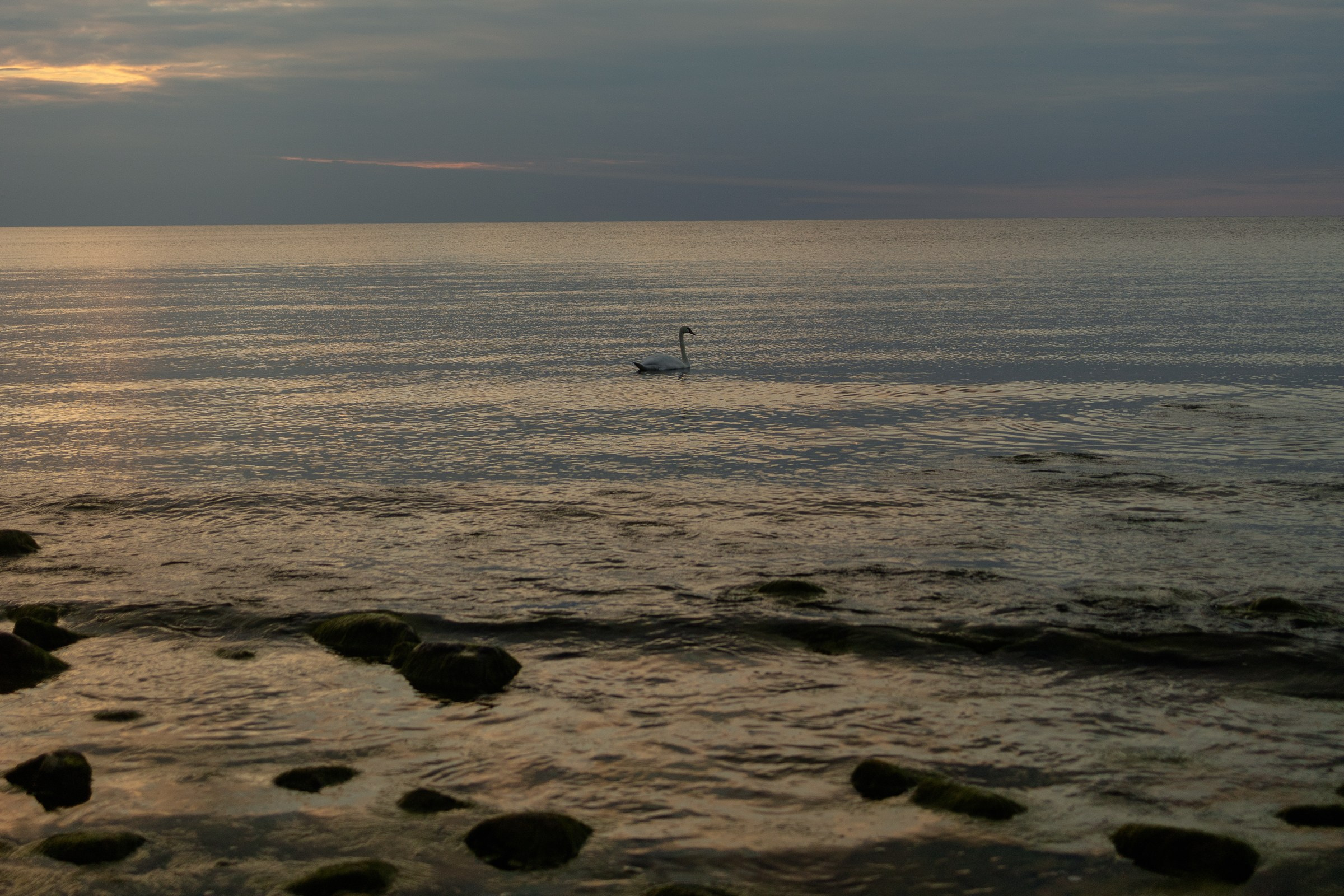 Портфолио. Фотограф Калининград