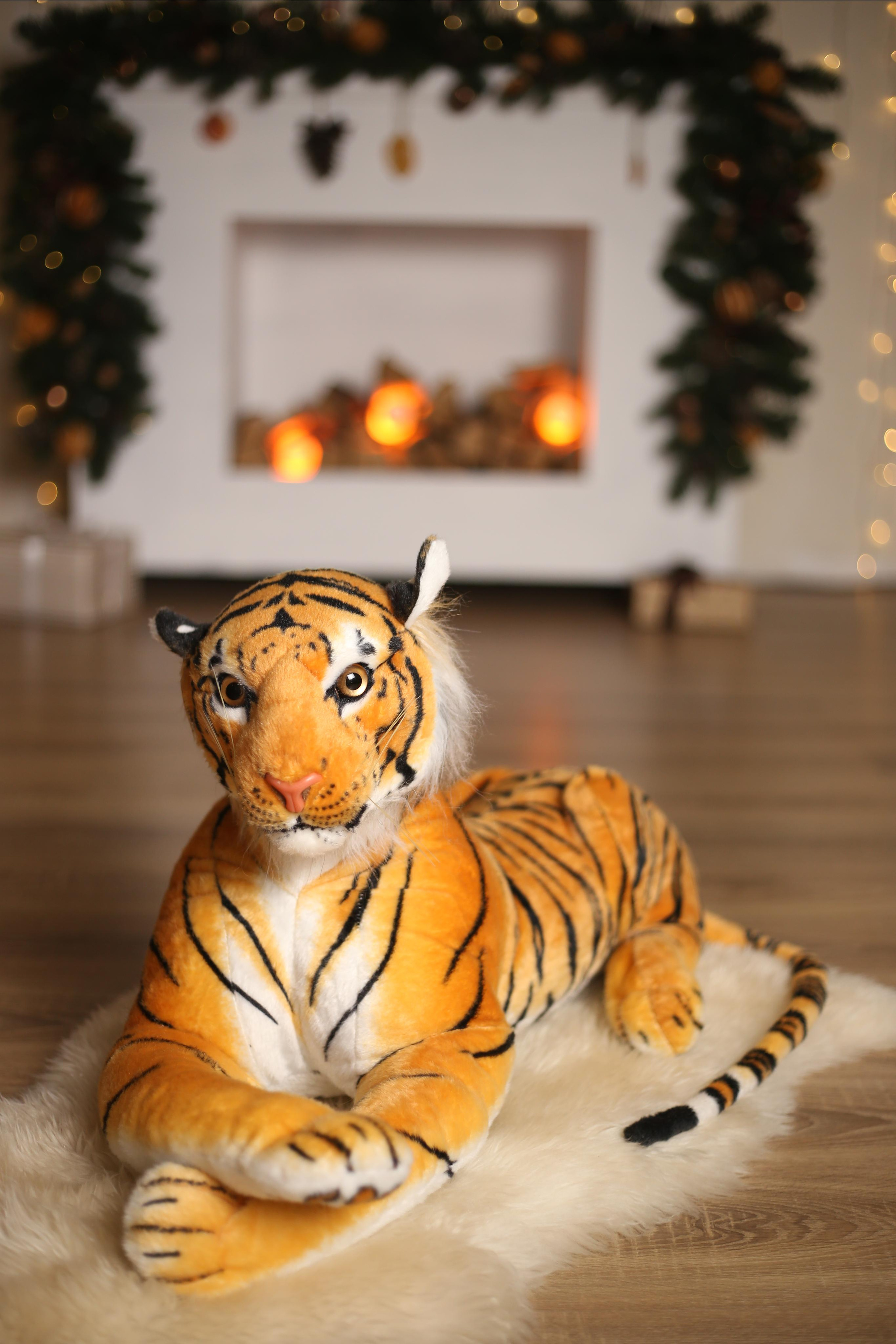 Фотостудия для маркетплейсов