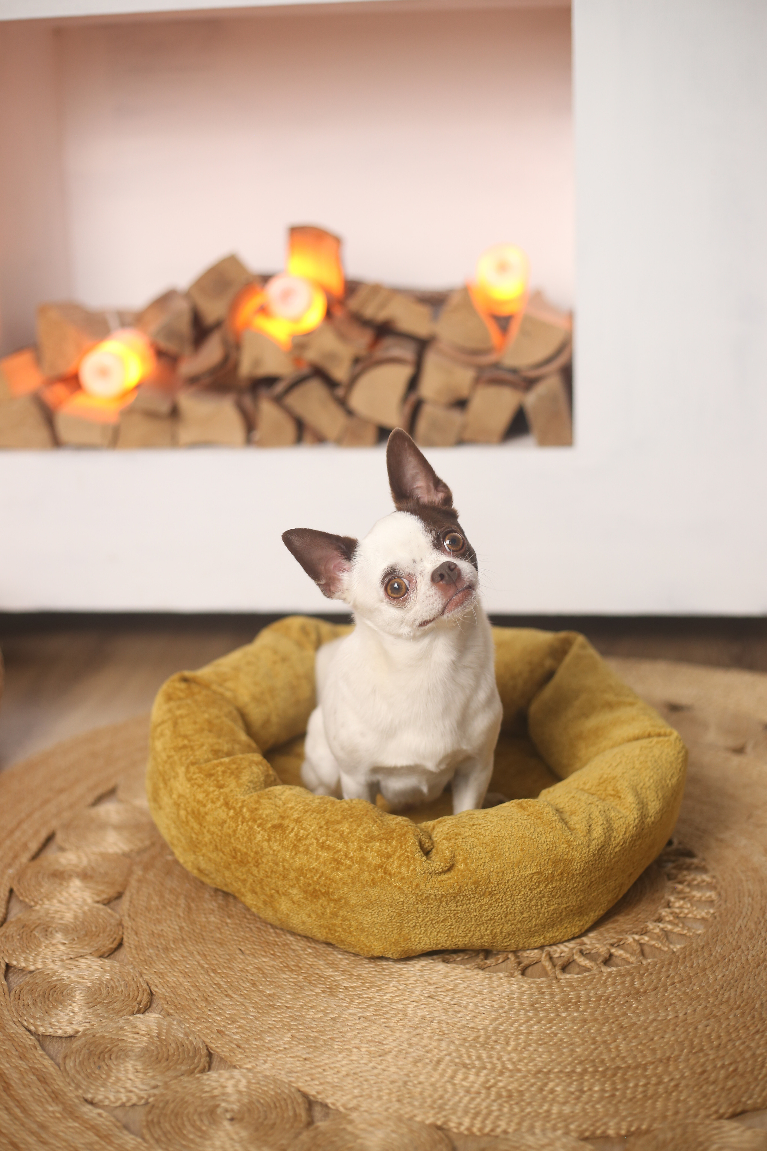 Фотостудия для маркетплейсов