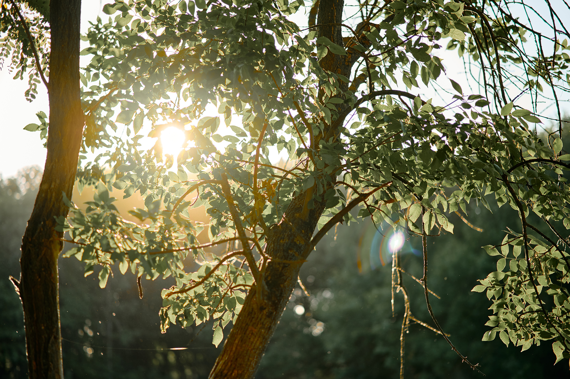 Свадебный фотограф Ростов-на-Дону Краснодар Москва Петербург. Свадебный фотограф в Ростовe-на-Дону Анастасия Прутова