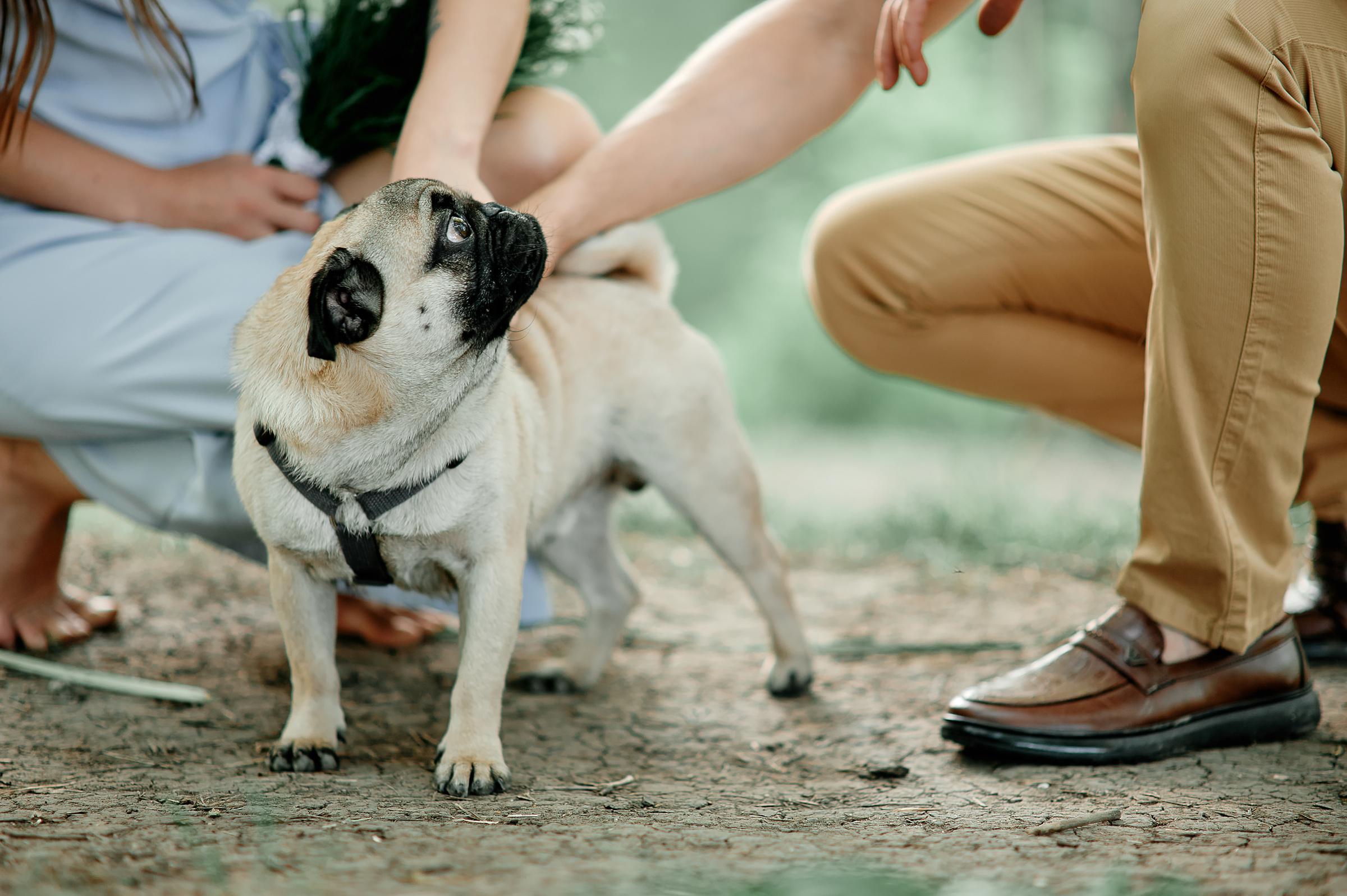 Свадебный фотограф Ростов-на-Дону Краснодар Москва Петербург. Свадебный фотограф в Ростовe-на-Дону Анастасия Прутова