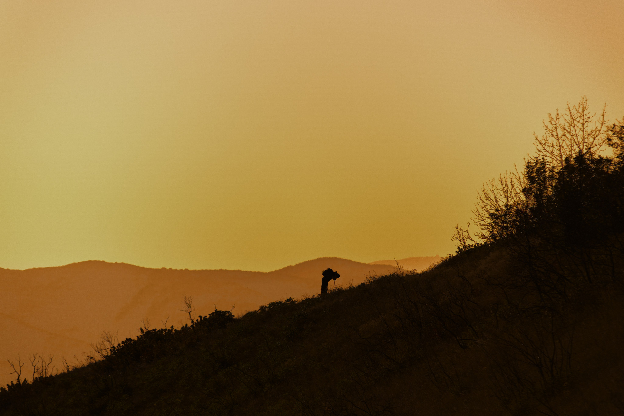 Трейлраннинг. Спортивный фотограф Тремпольцева Анна
