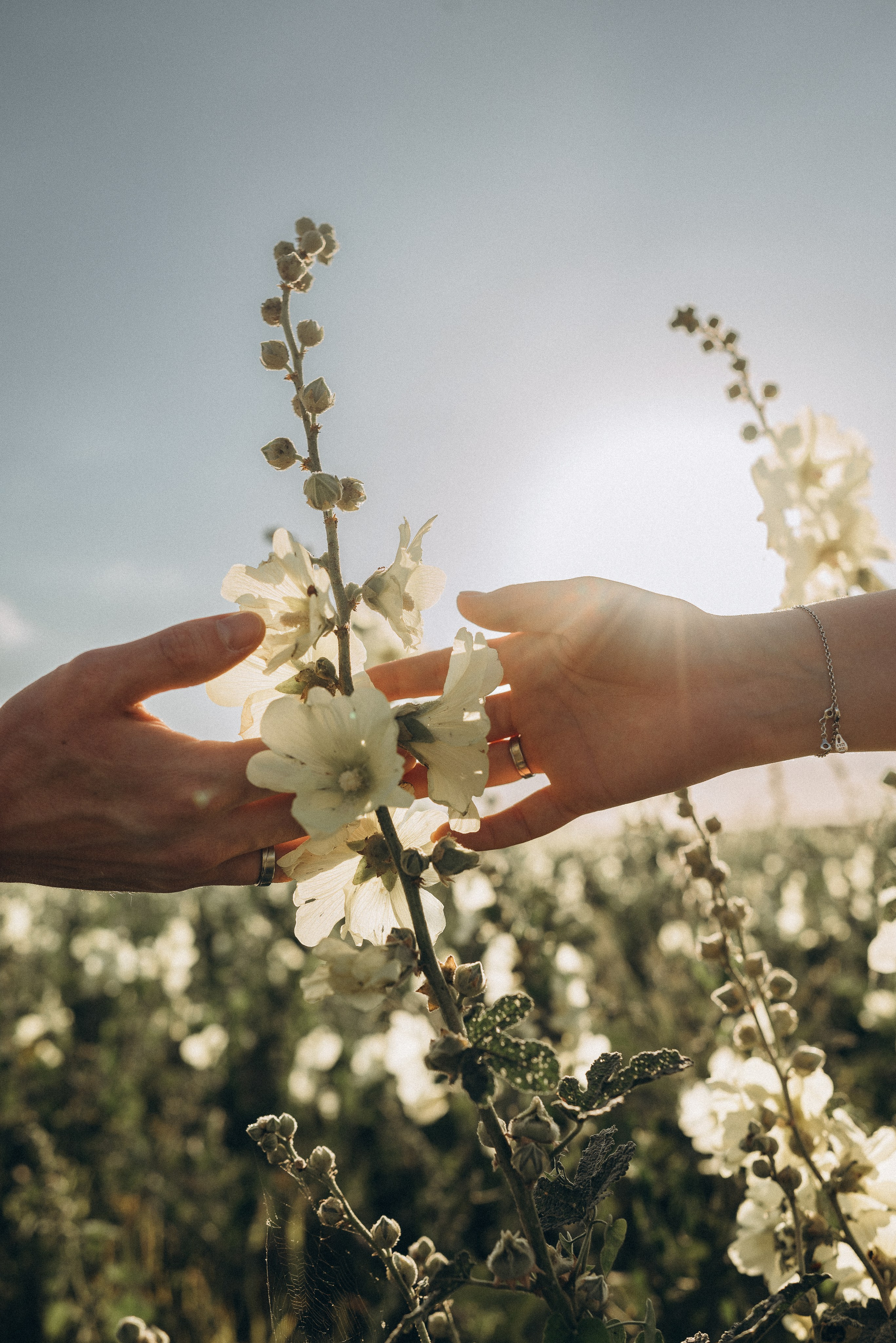 Путешествие на велосипеде. Семейный фотограф Ростов-на-Дону Татьяна Соколова