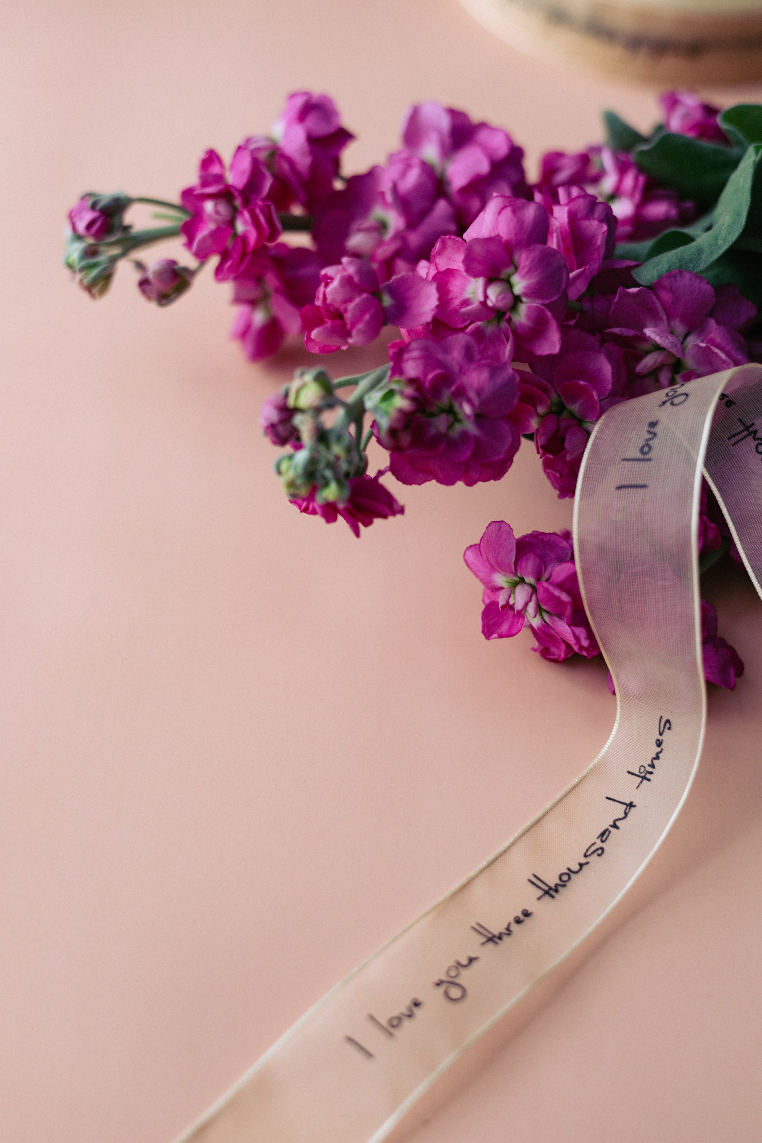 Кейс магазин цветов. Ваш фотограф