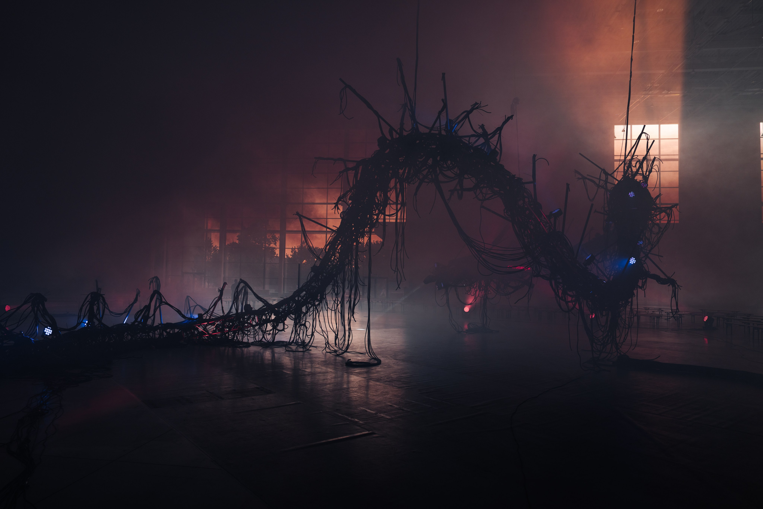 PANTERRA, CHRONOMORPH 001. @tomrus: Рустам Шагиморданов — фотограф