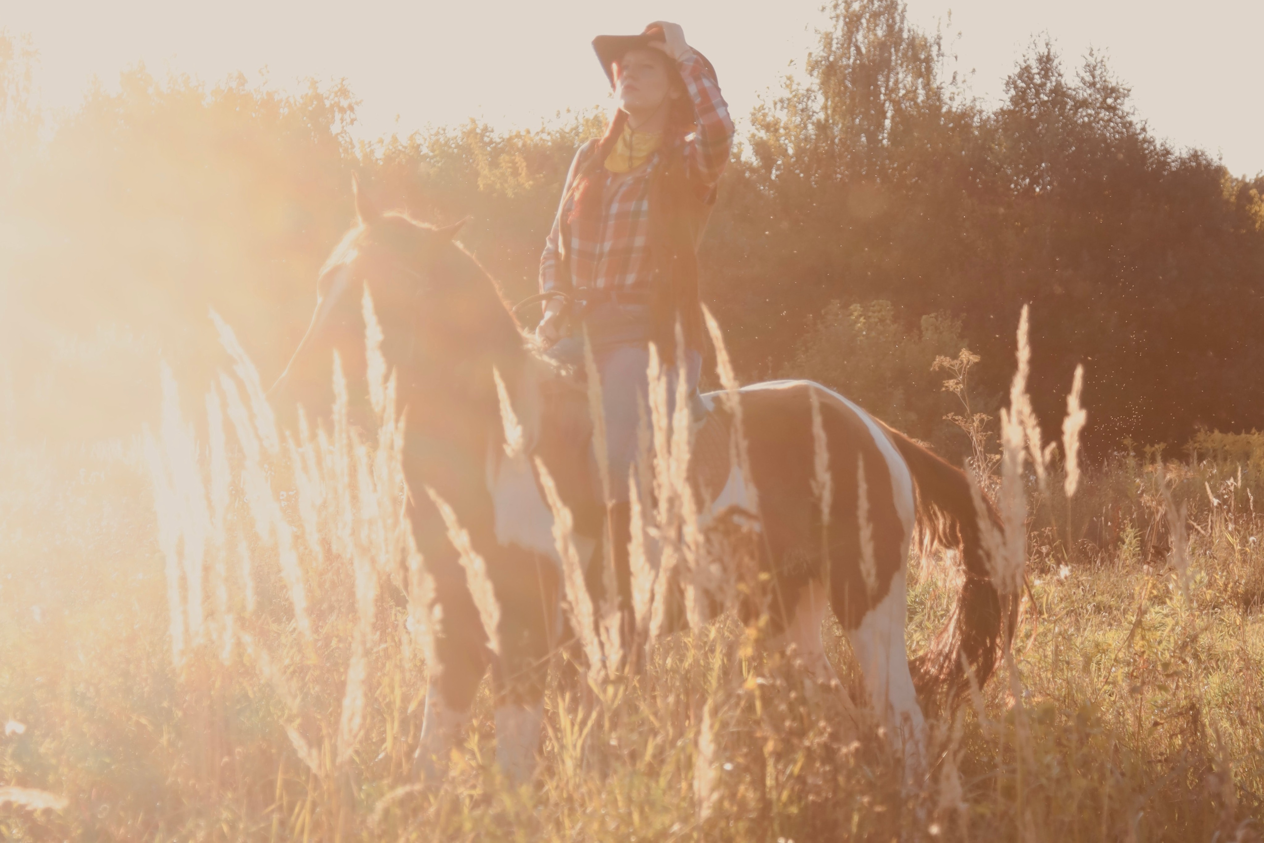 Фотопроект «Ранчо»