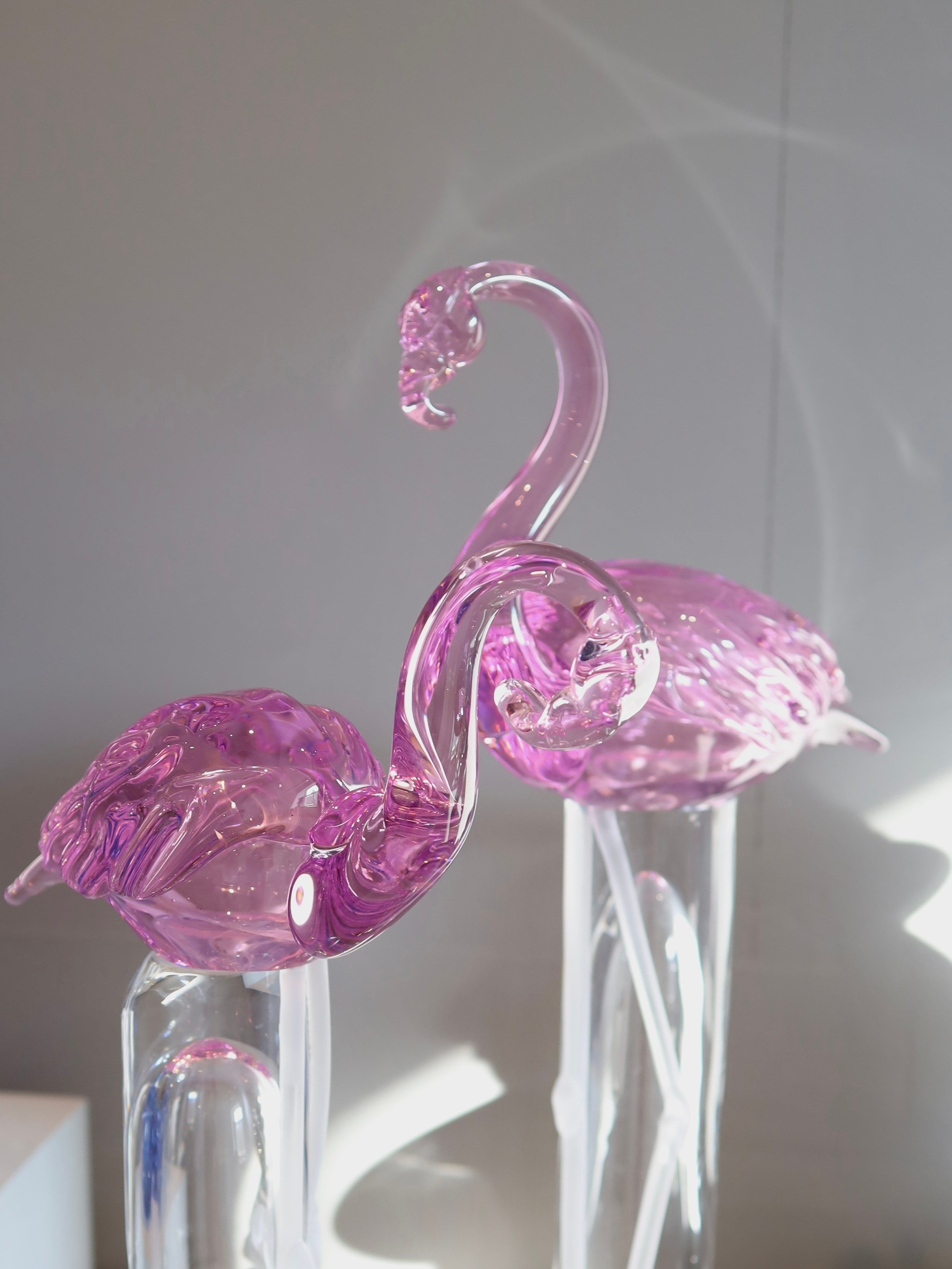 Выставка Степени прозрачности. Фотосессии и репортаж — Фотограф в Москве — Рина Серёгина