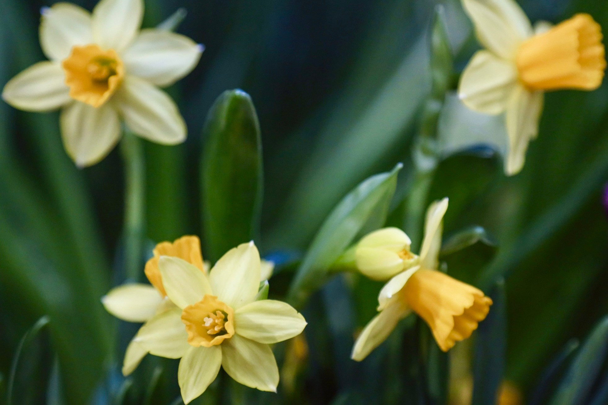 Фотографии с выставки Репетиция весны. Фотосессии и репортаж — Фотограф в Москве — Рина Серёгина