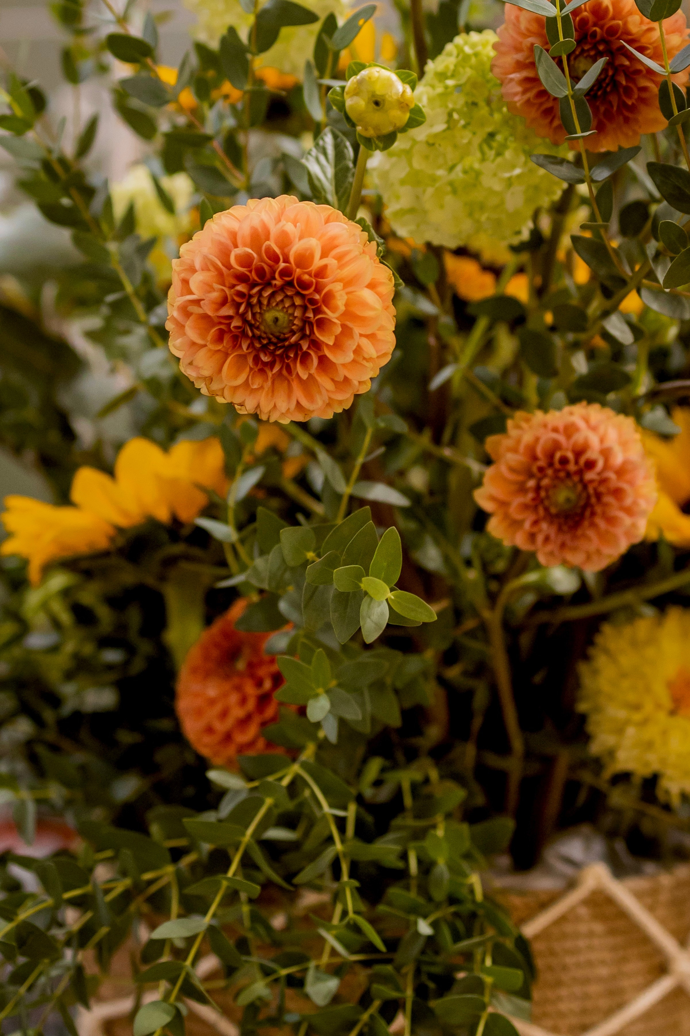 Цветы-Экспо 2025. Фотосессии и репортаж — Фотограф в Москве — Рина Серёгина