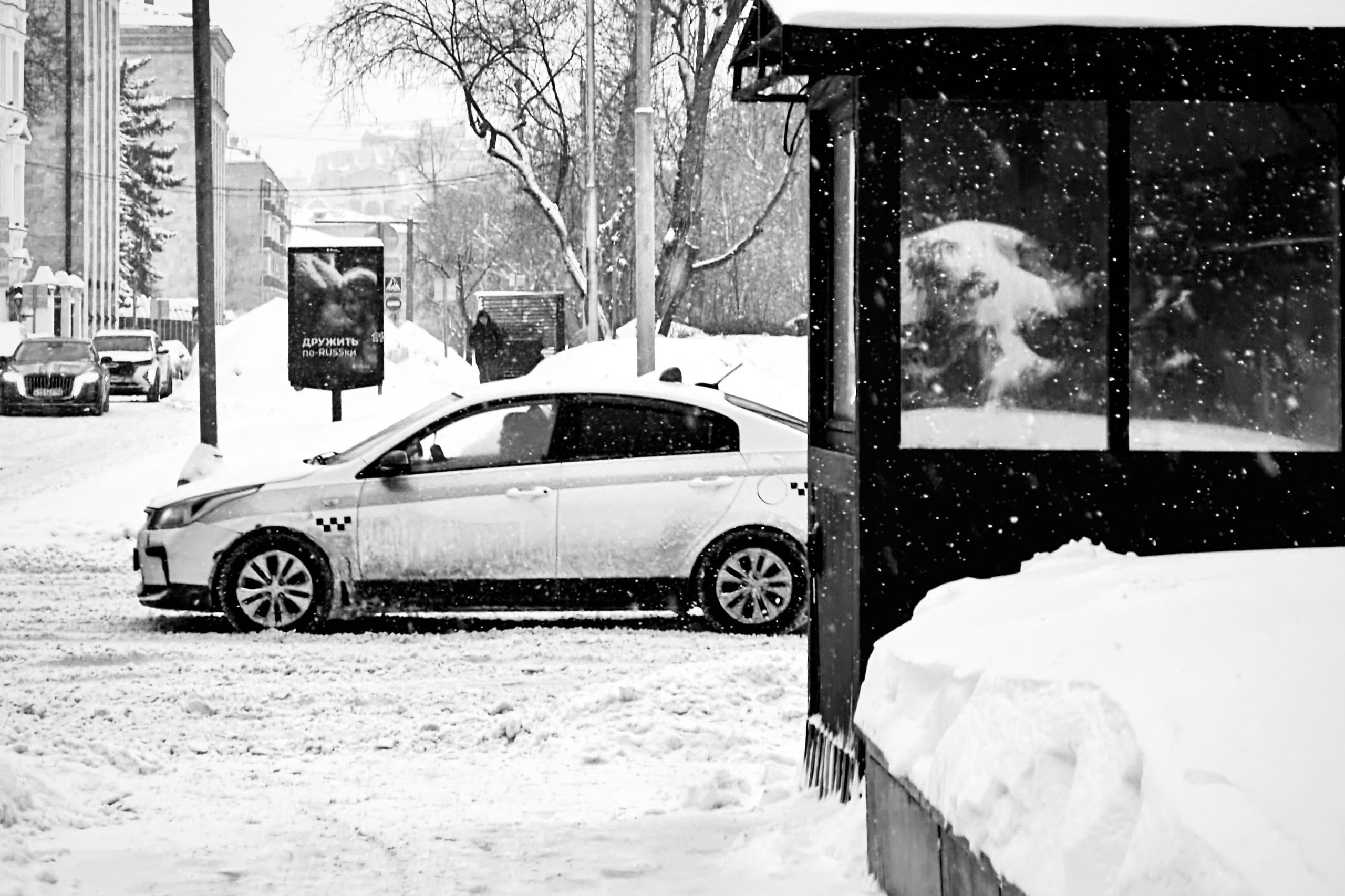Чёрно-белая зима 25-26. Фотосессии и репортаж — Фотограф в Москве — Рина Серёгина