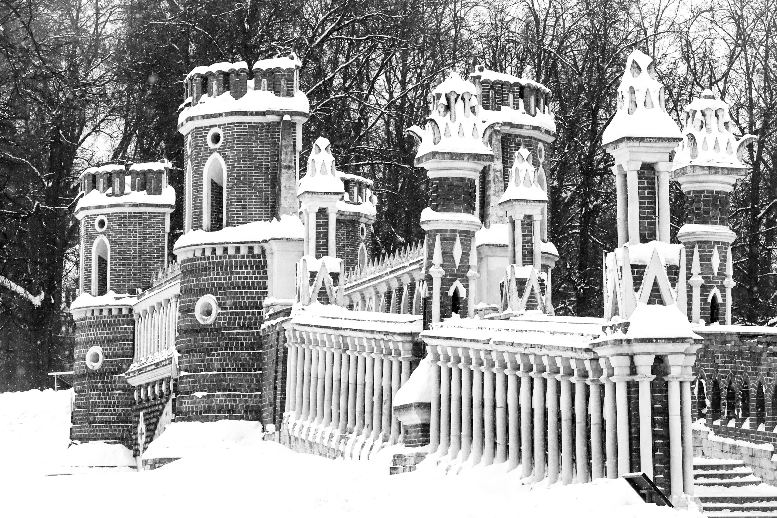 Чёрно-белая зима 25-26. Фотосессии и репортаж — Фотограф в Москве — Рина Серёгина