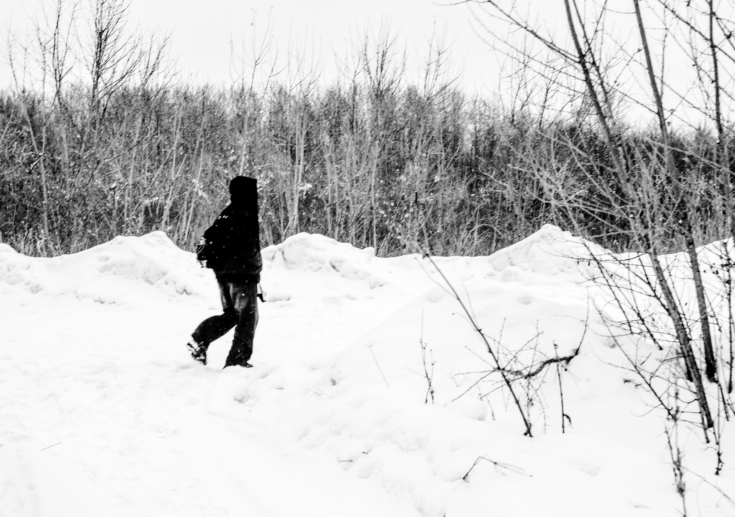 Дневник сновидений. Предание о руинах: АРХИВ ПУСТОТЫ