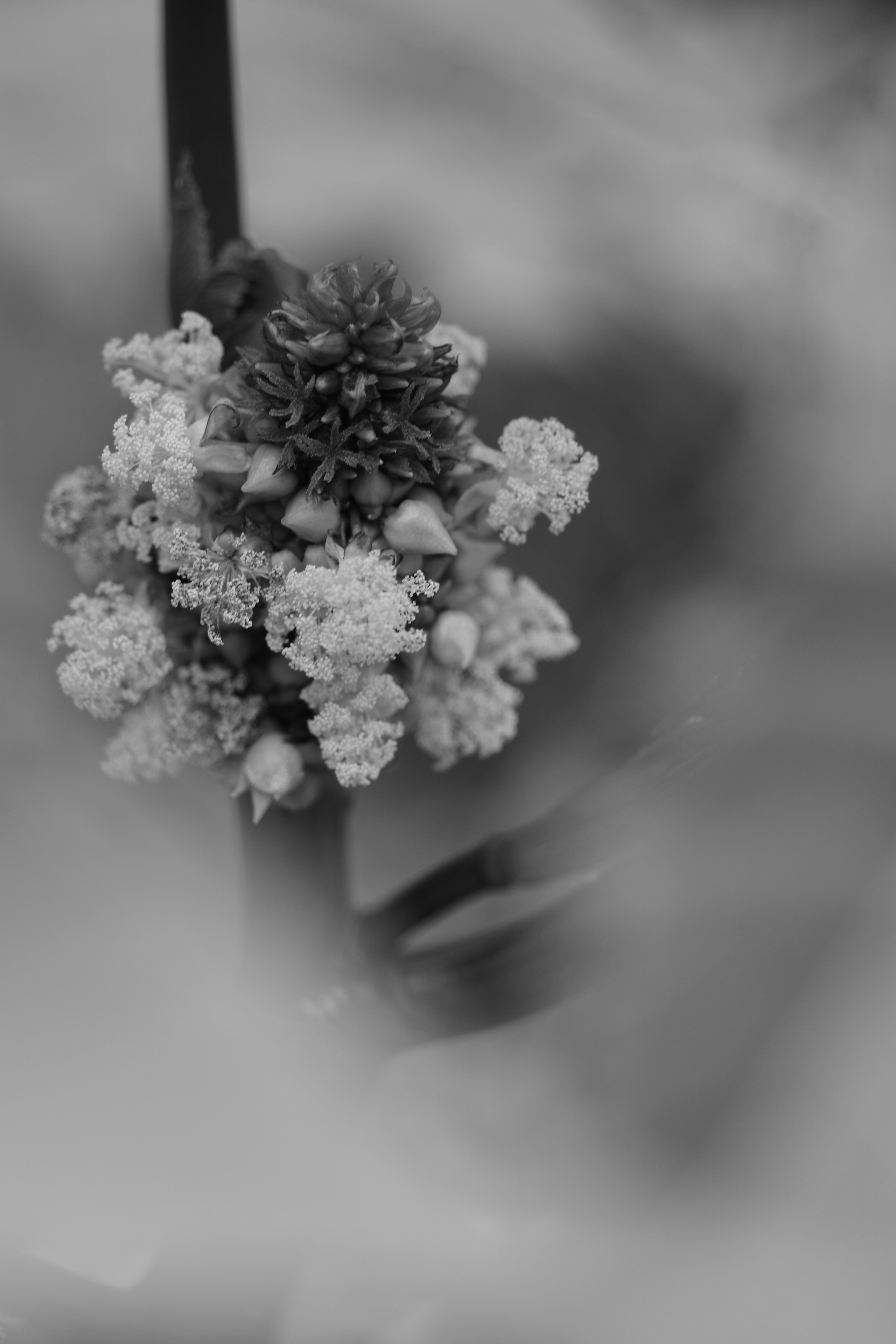 Art. Арт — фотограф Евгений Наймушин Новокузнецк